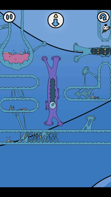 The path can be changed through user input