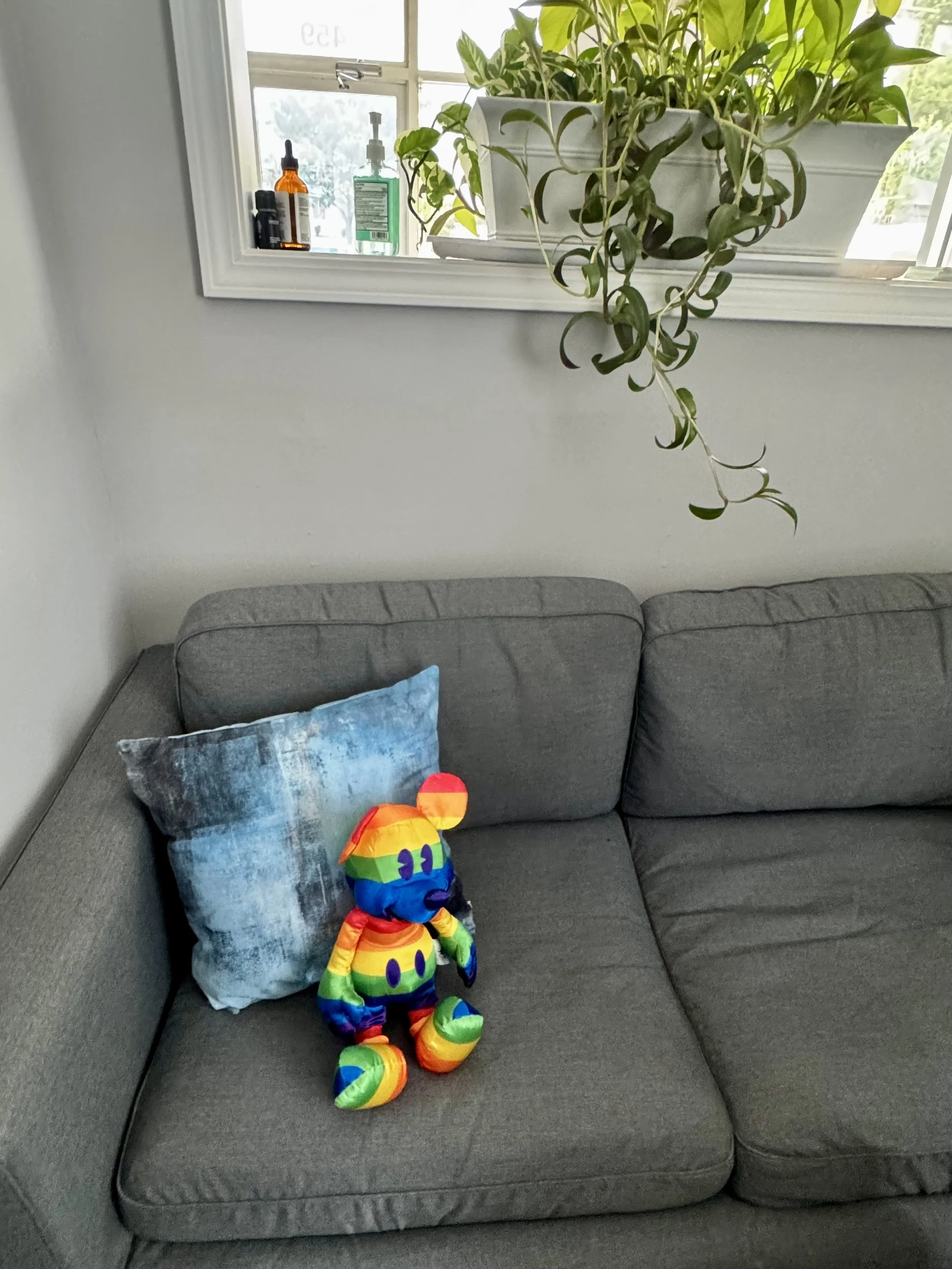 Lee's Summit Office plant and counseling couch.jpg