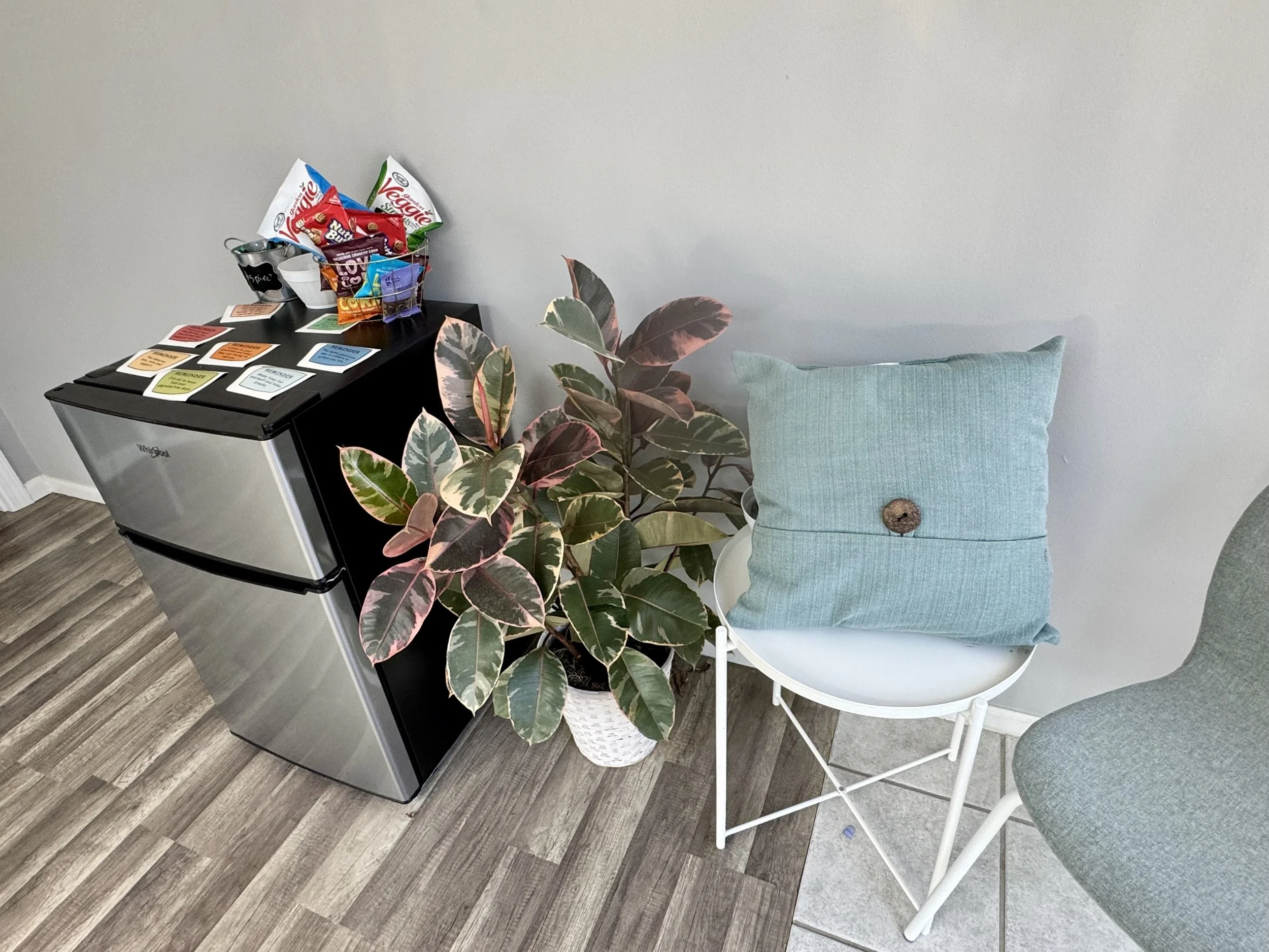 Plant and fridge in waiting area in lee's summit mo.jpg