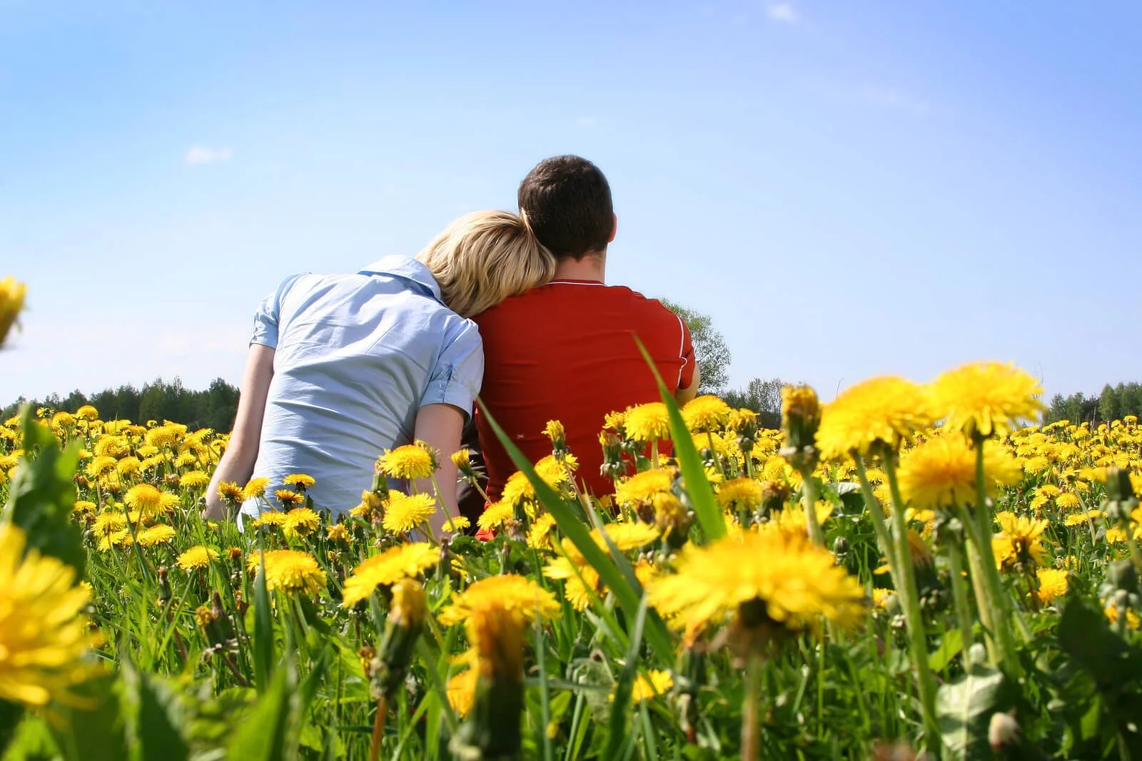 The impact of trauma on relationships — Aspire Counseling