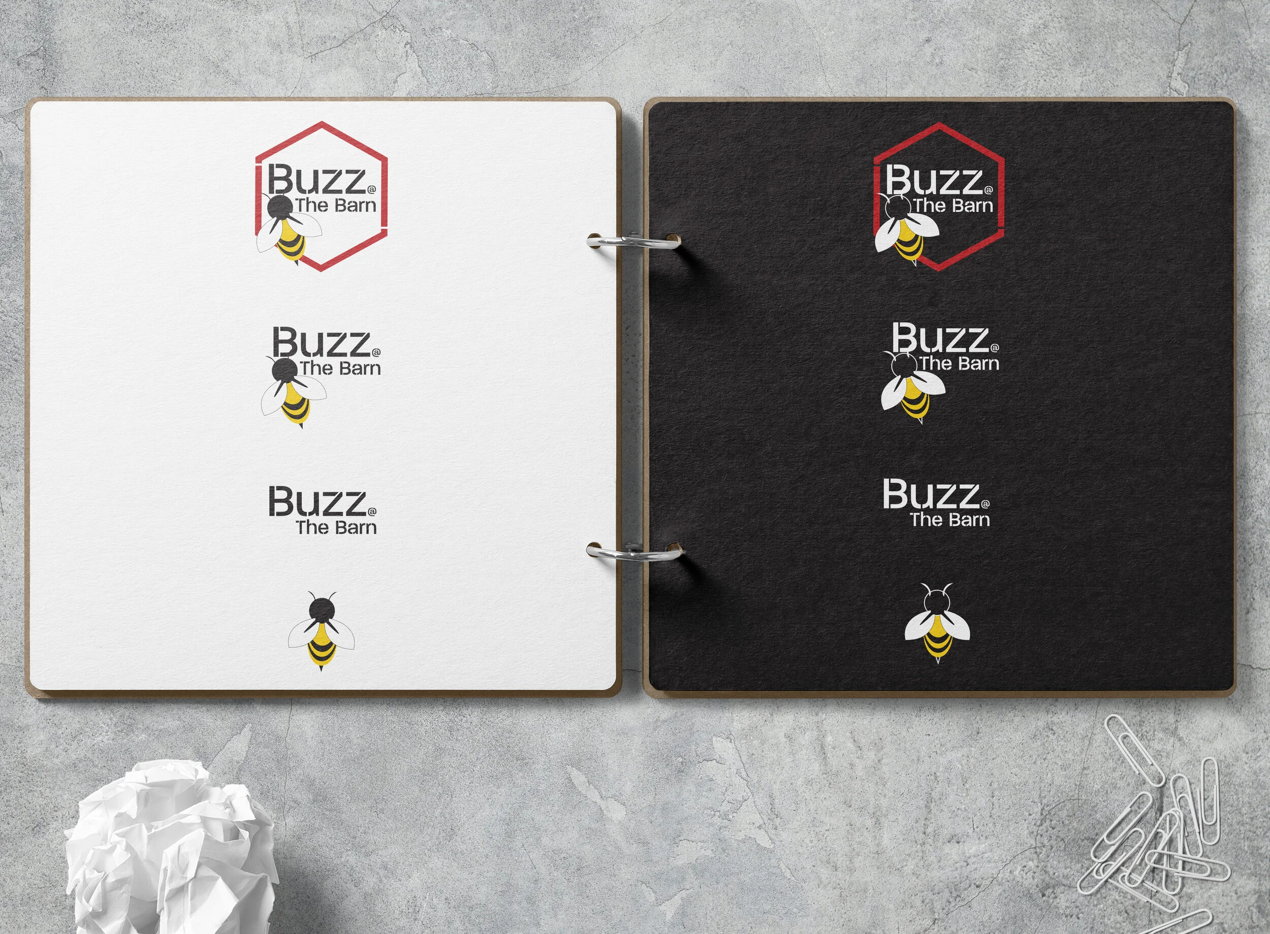 BuzzAtTheBarn_MockUp_lay.jpg