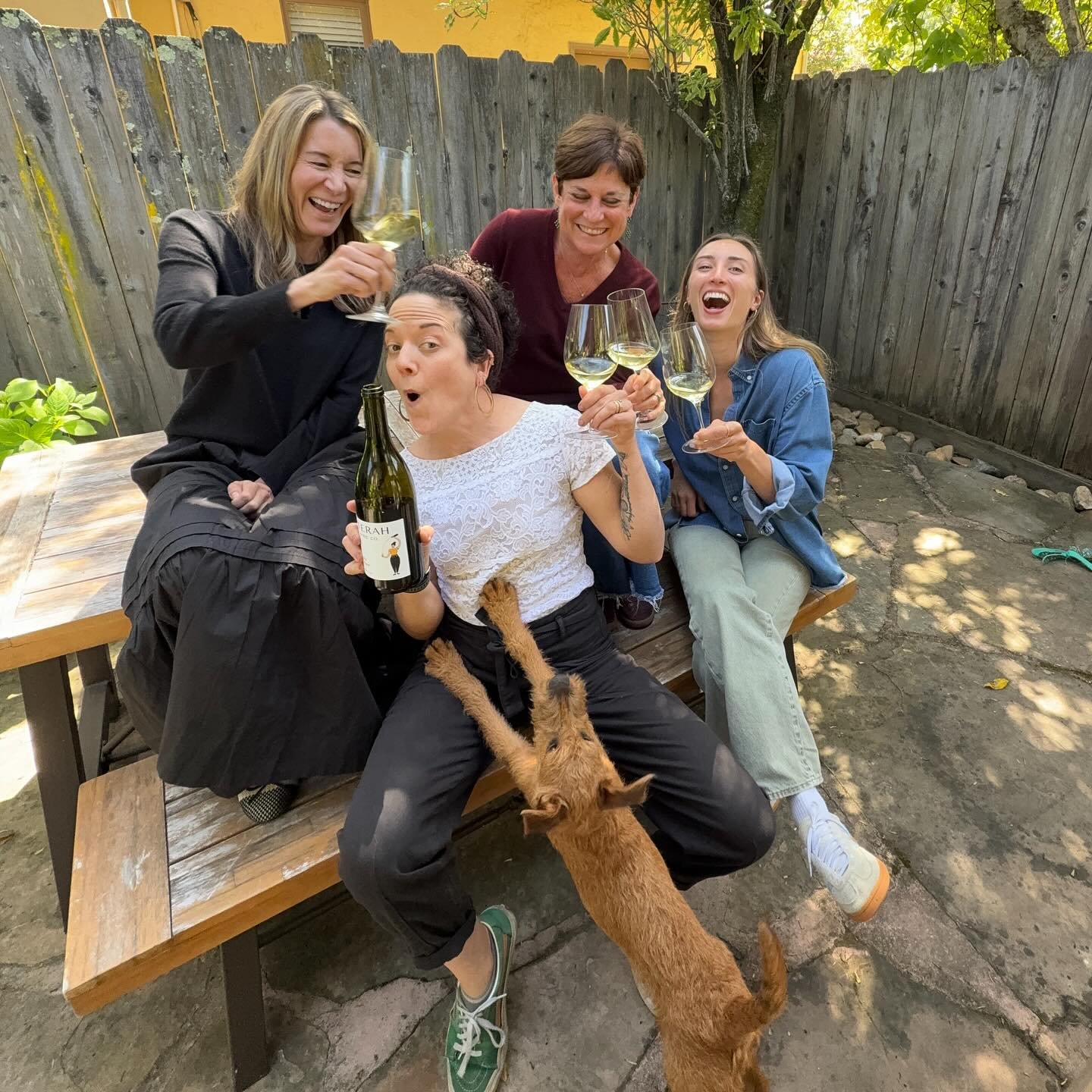 WOOT! We&rsquo;re a WOSB. 🎉 

It&rsquo;s official: O&rsquo;Donnell Lane is now a certified Woman Owned Small Business with the U.S. Small Business Administration @sbagov. 

We decided to toast with a woman-made wine, Aligot&eacute; by @terahwinecomp