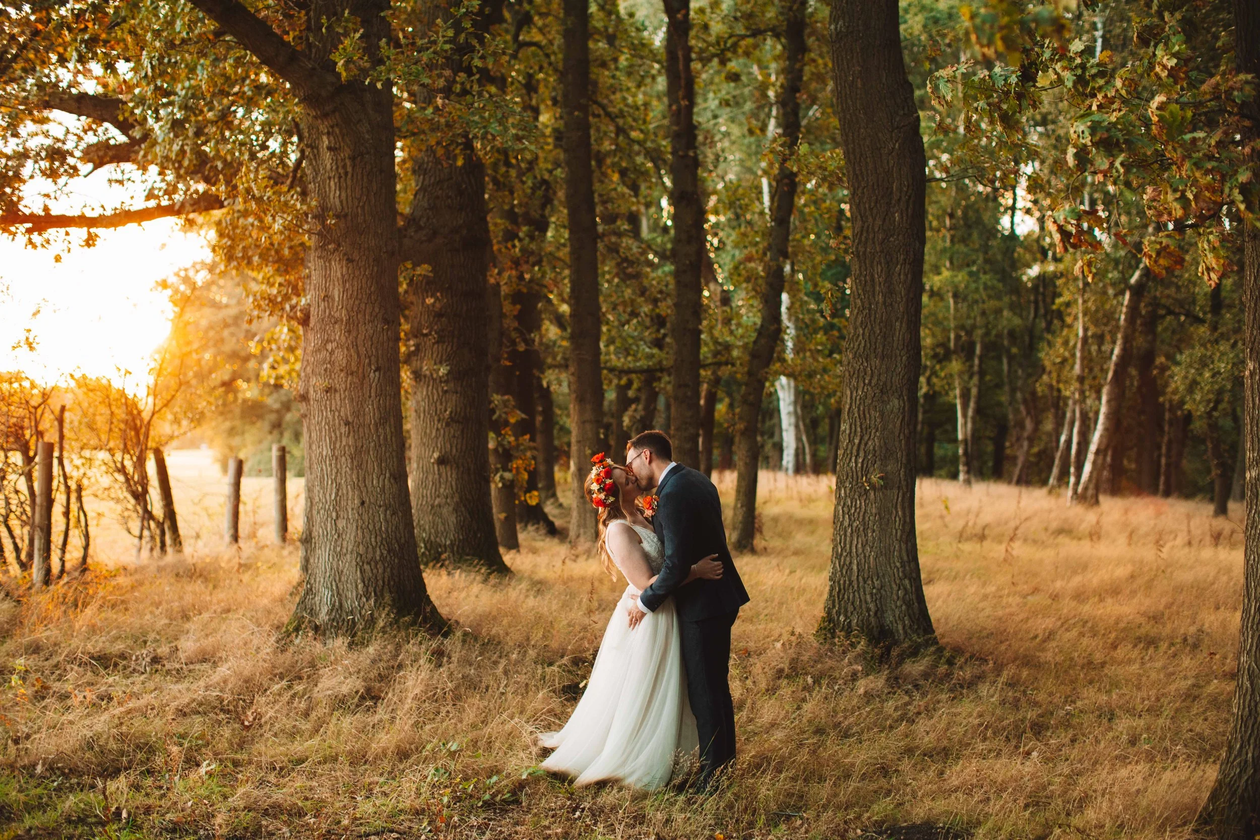 Patch of golden light-5.jpg