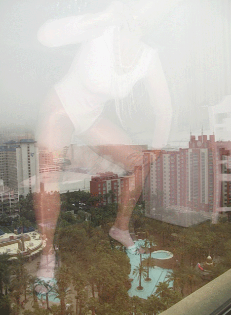 JillPangalloFlamingoPool2012.gif