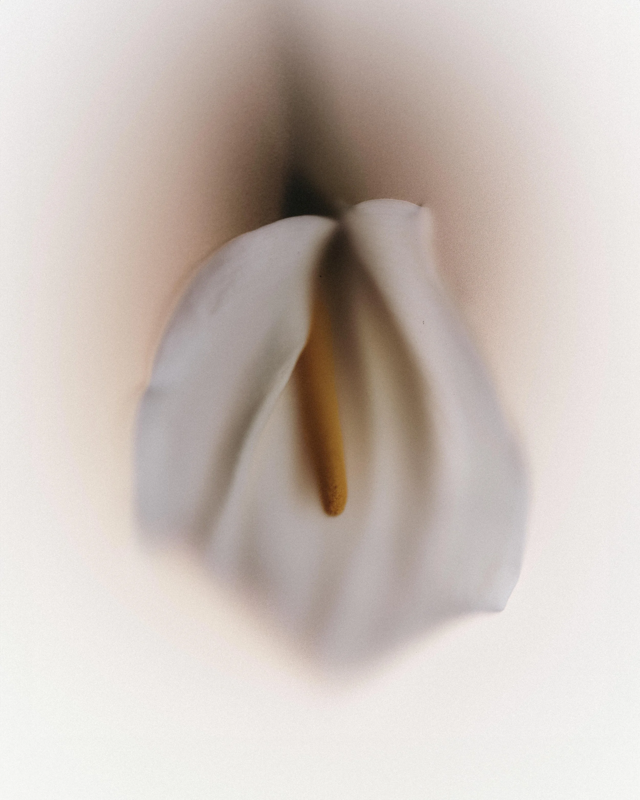 _DSF3169 f.jpg