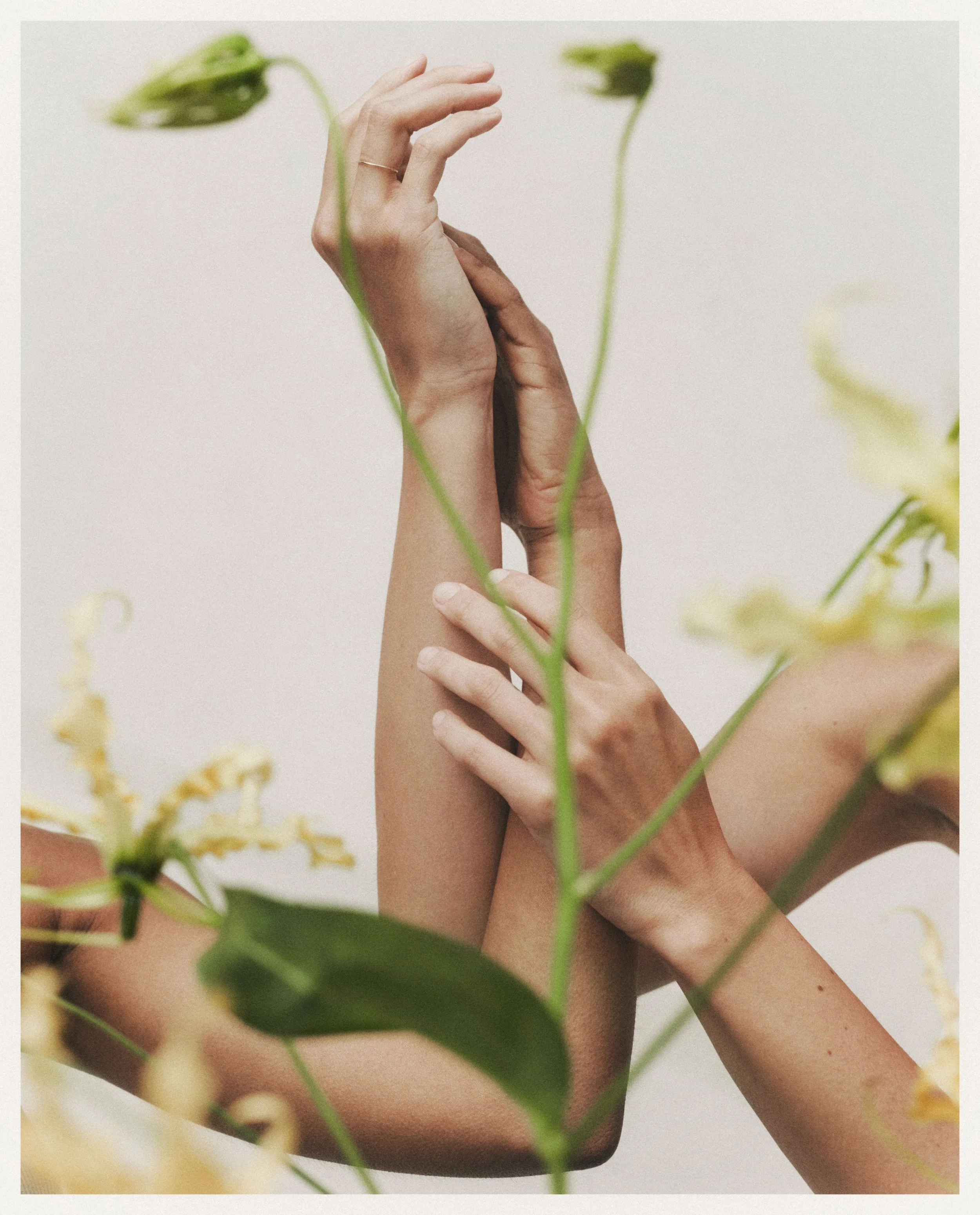 21_04_09 PHLUR6443 rt f crop border g.jpg