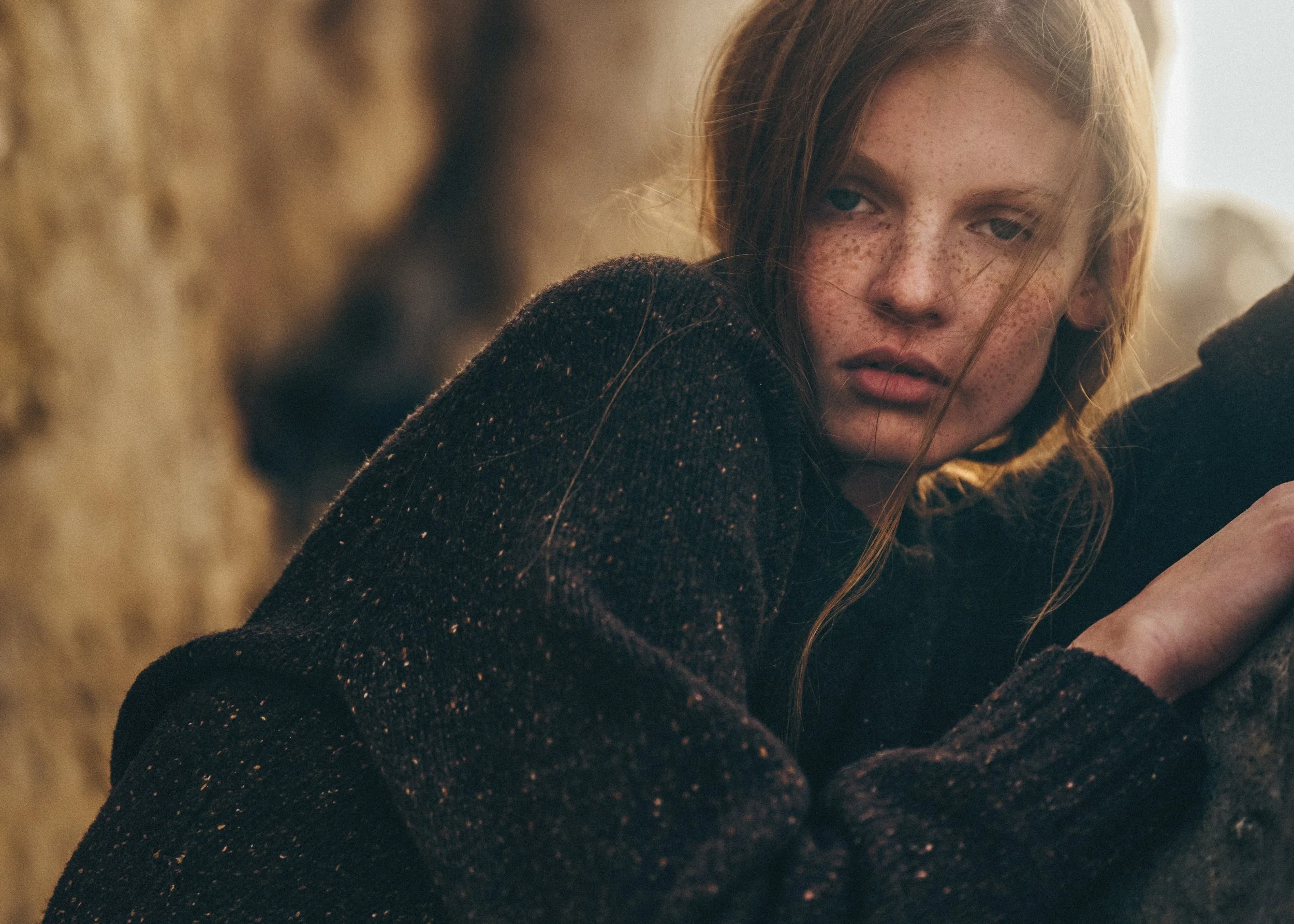 _DSC0379 crop wide.jpg