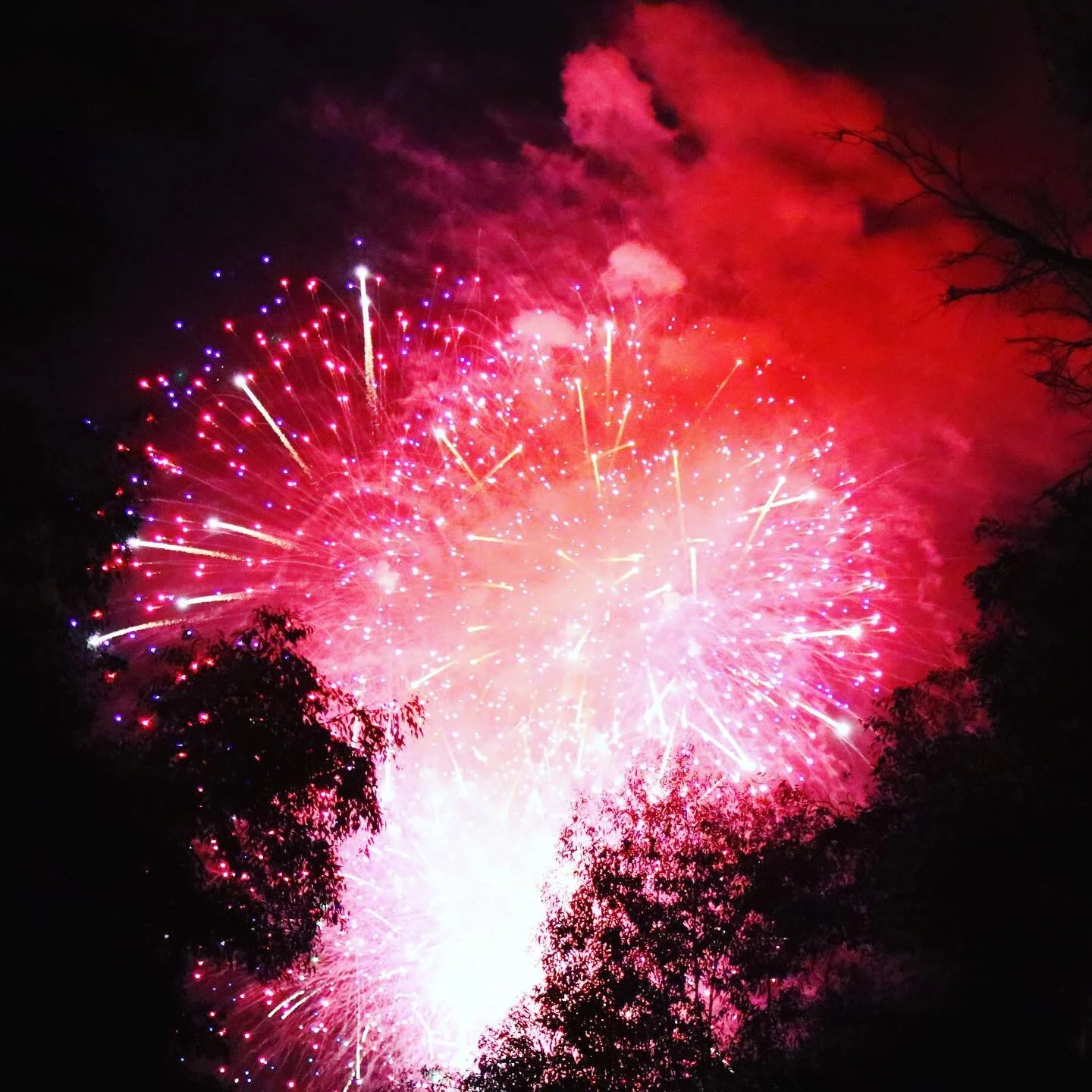 Dogs were not thrilled and went inside but we had this view from the back porch🎉🎧🐶
.
.
.
.
#redlands #fireworks #4thofjuly #backporchview