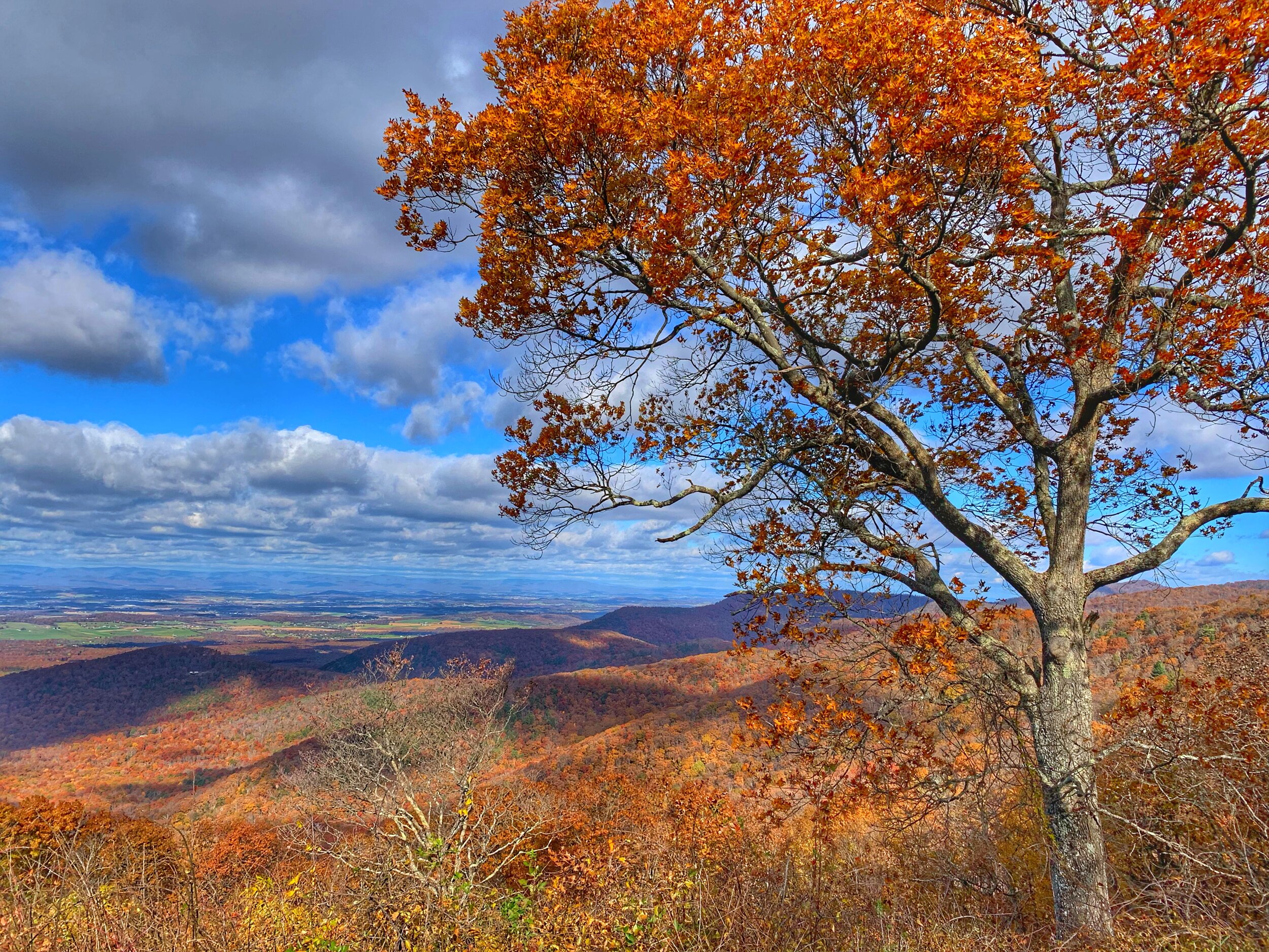 Autumn colors of Virginia