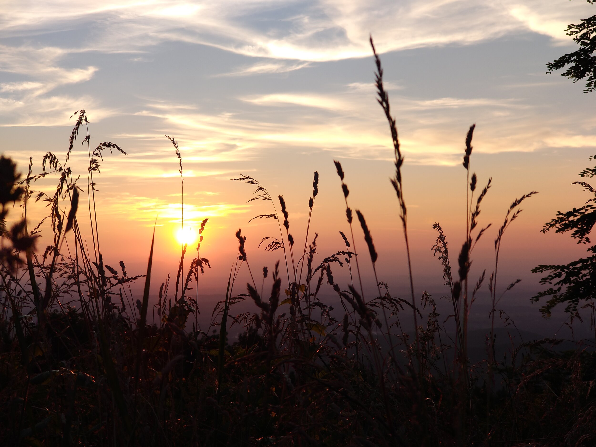 Virginia Sunset 1