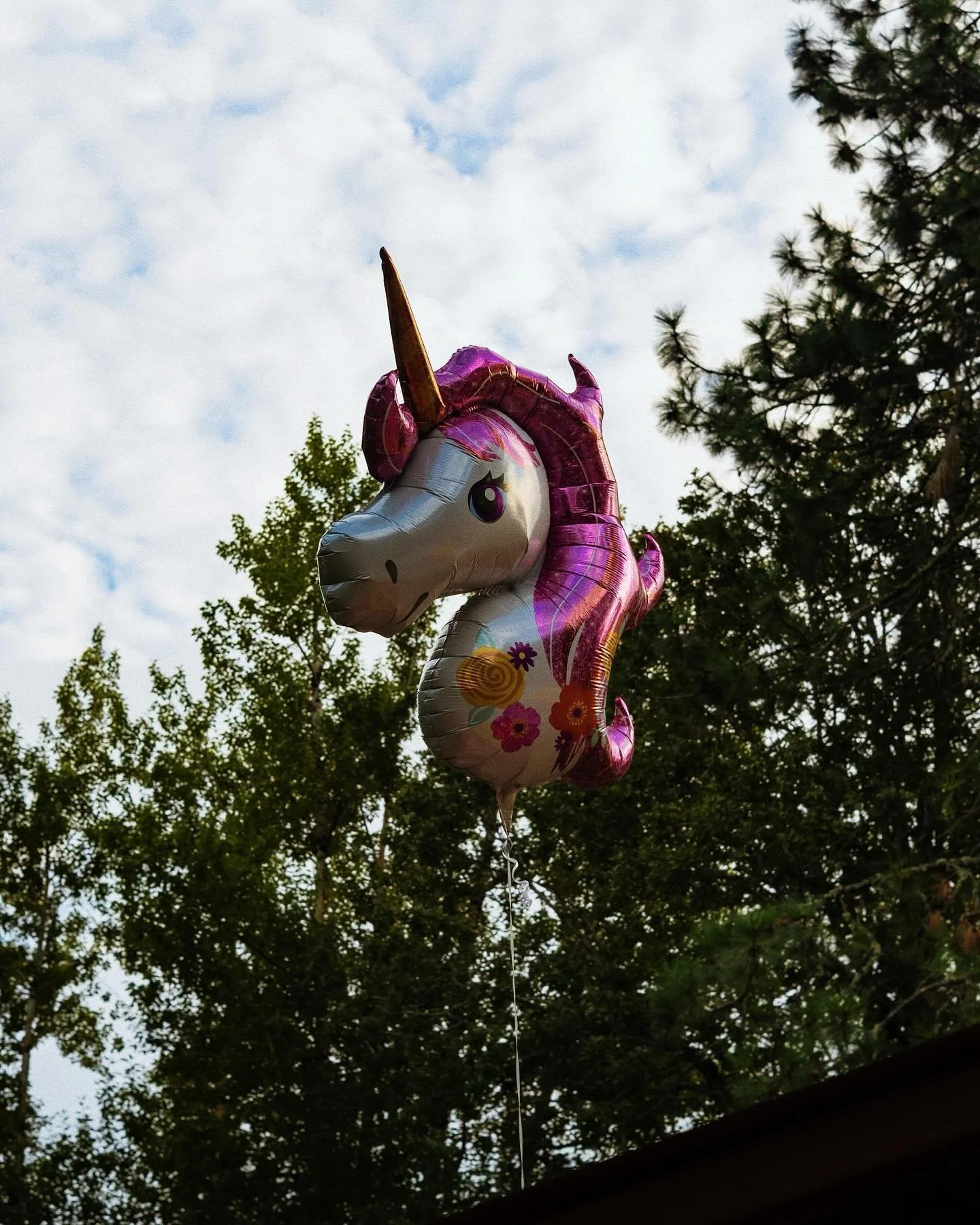 Balloonicorn.