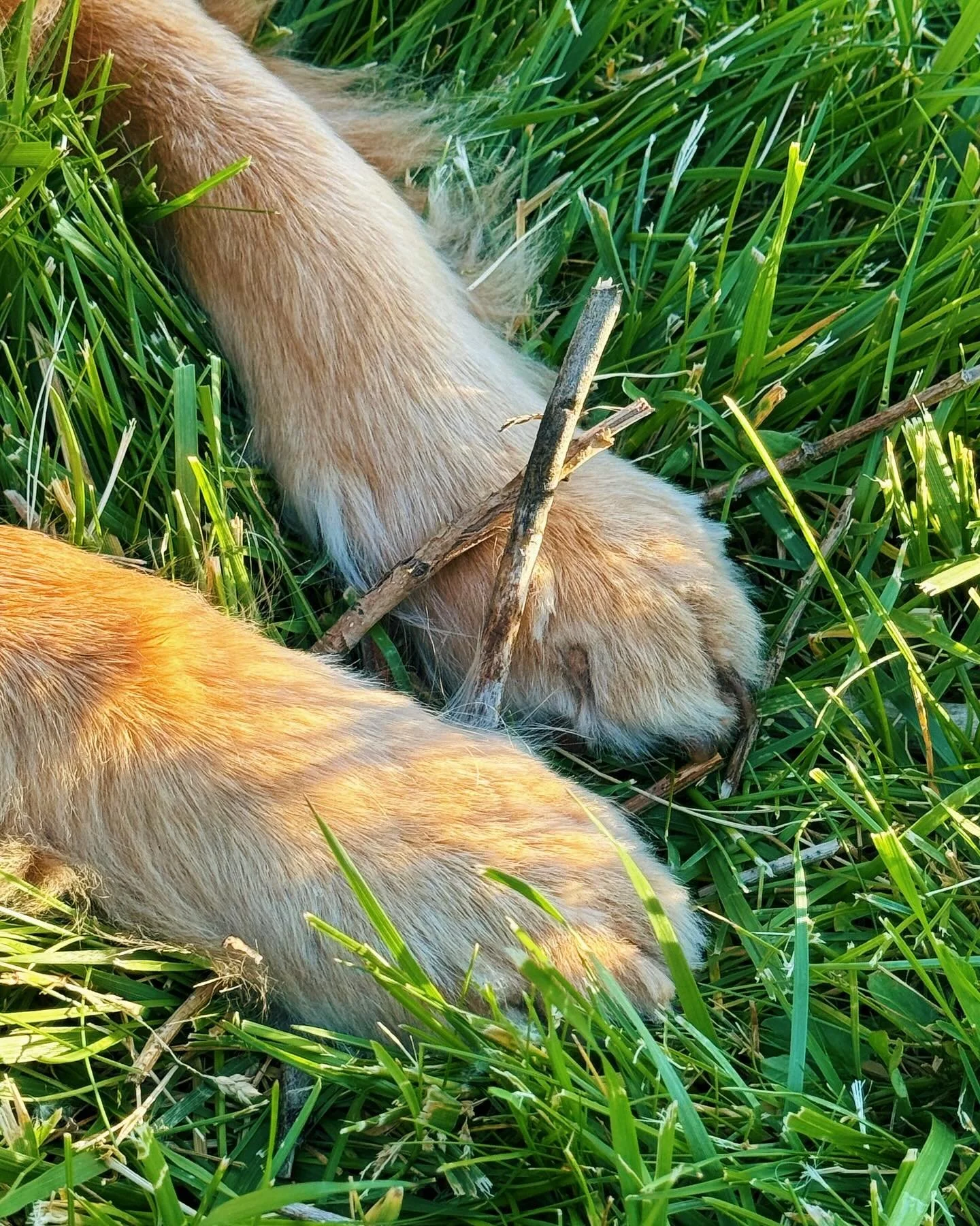 Cute.