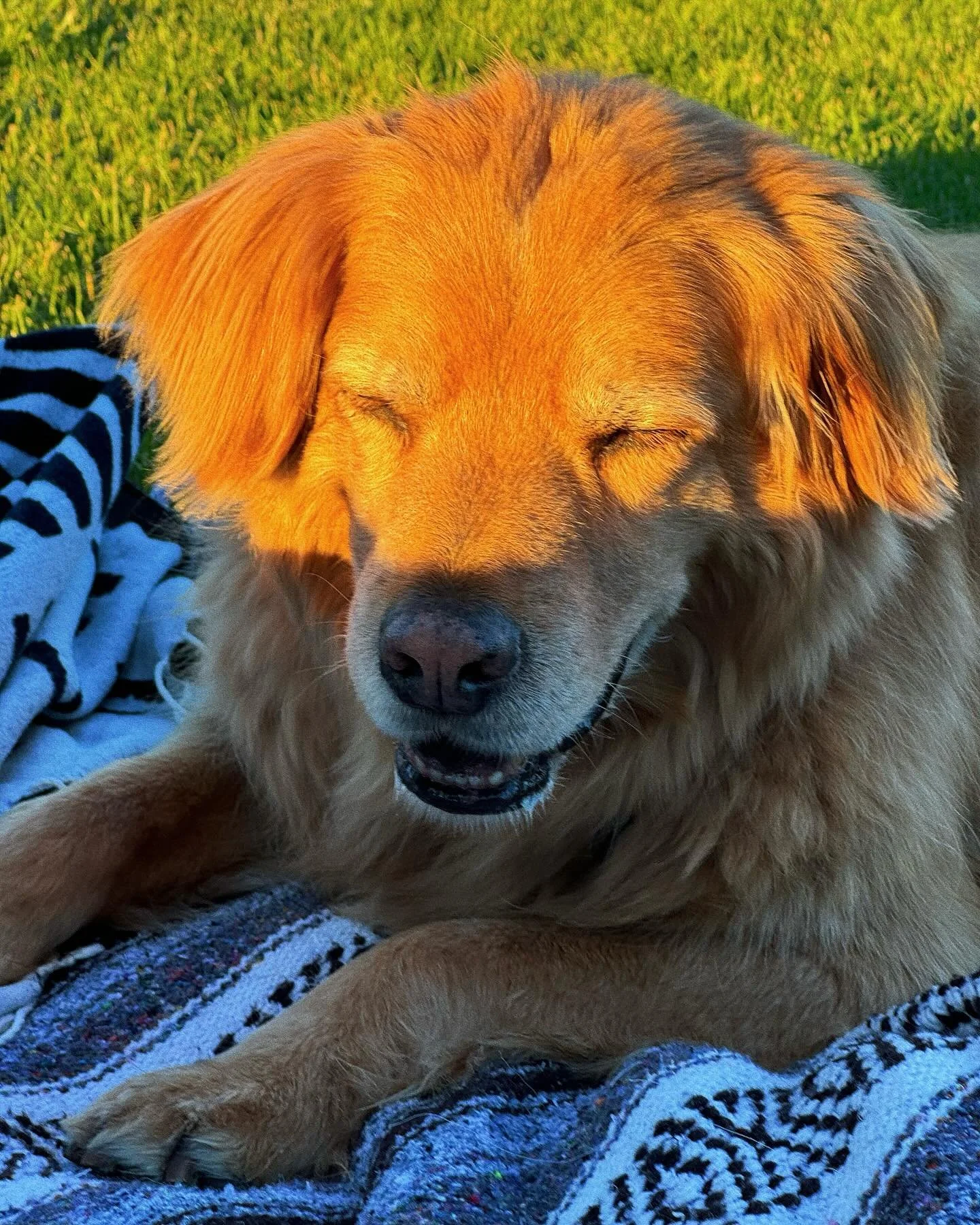 😌🧡