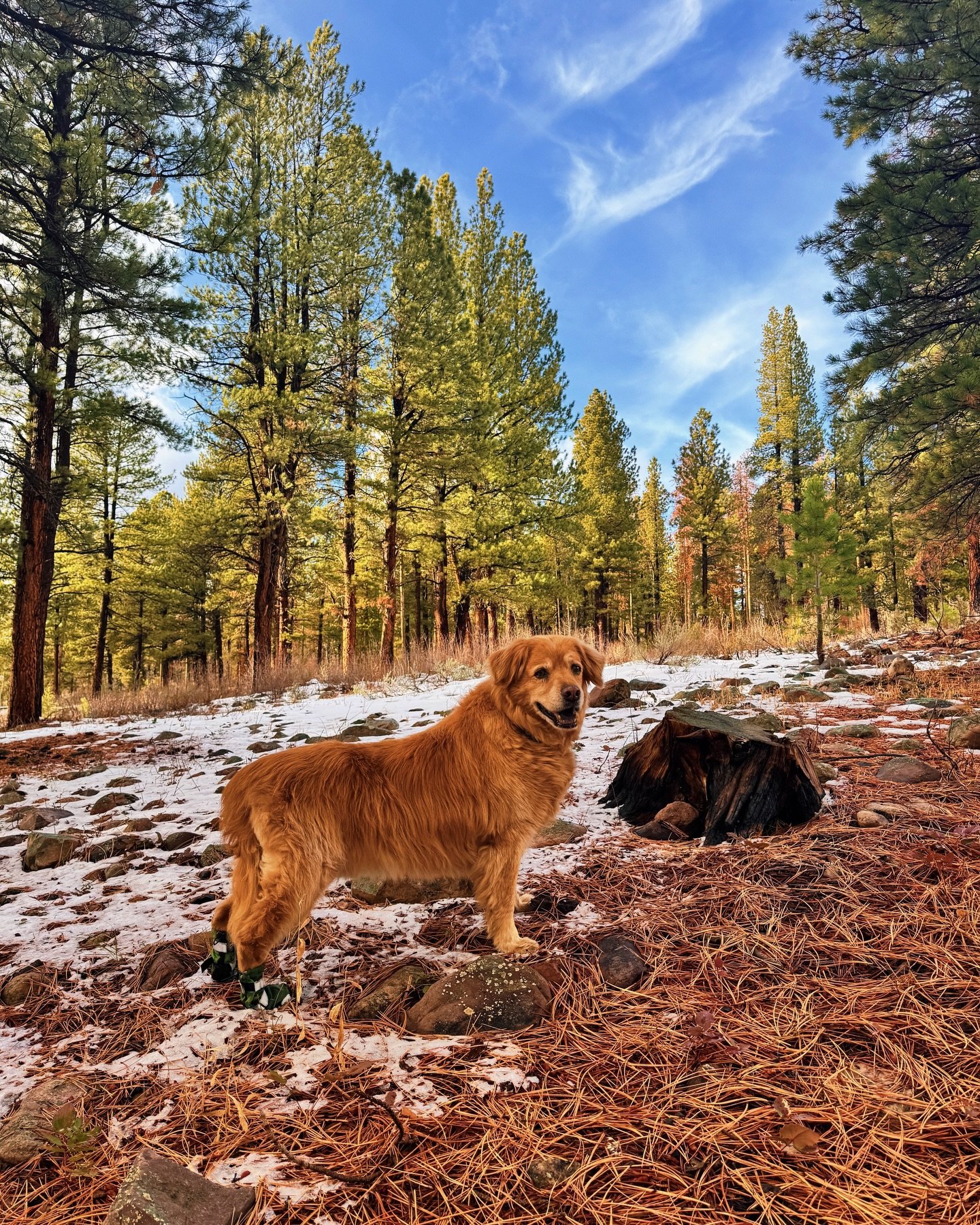 14. Still taking us on adventures. Keep going, little buddy.