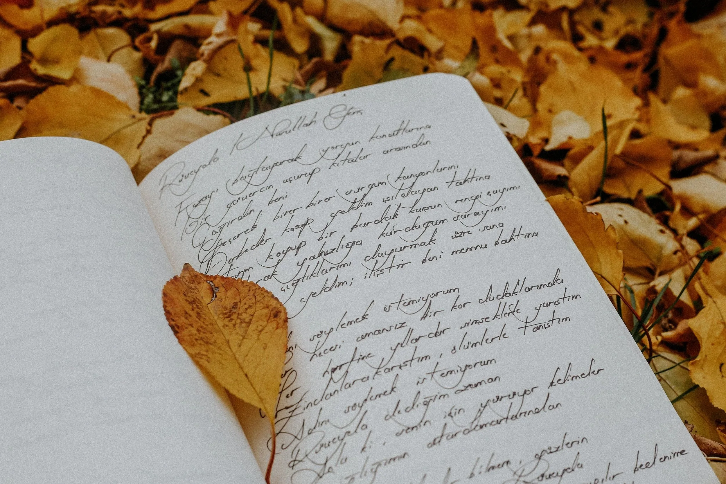 October Poem: Wilis’ Warning