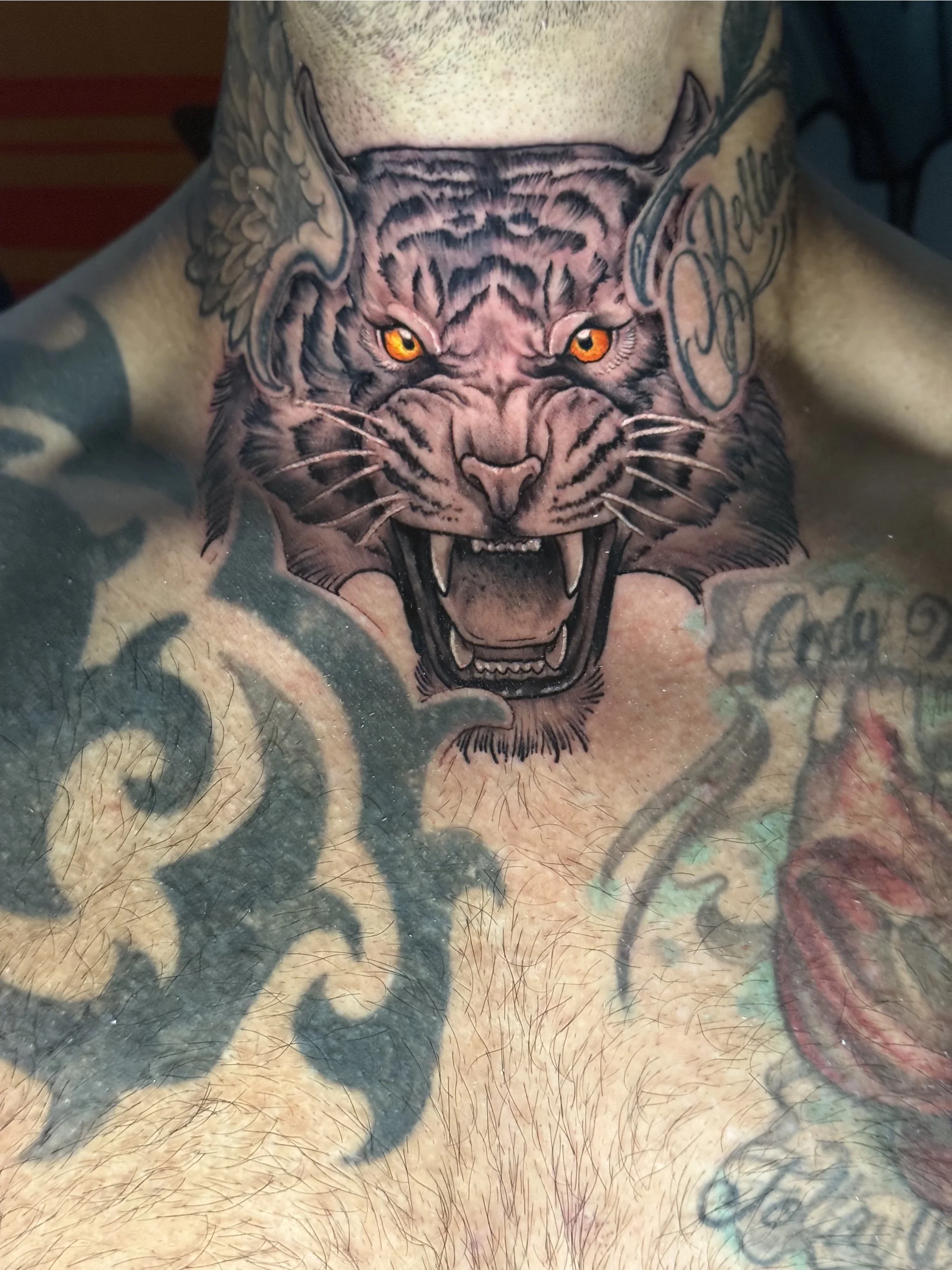 Untitled_Artwork 10.jpg