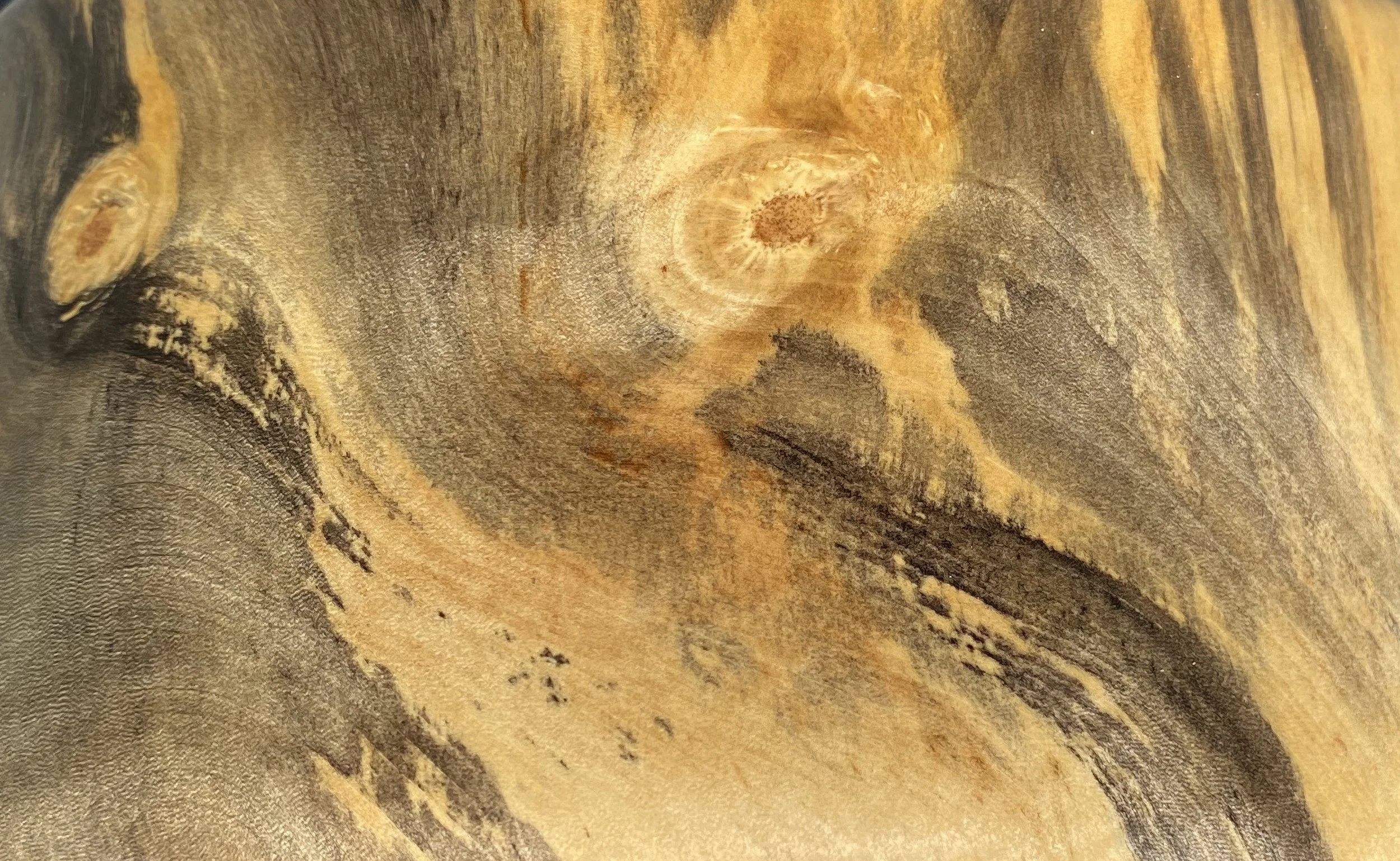 What Slows Down Is What Lasts