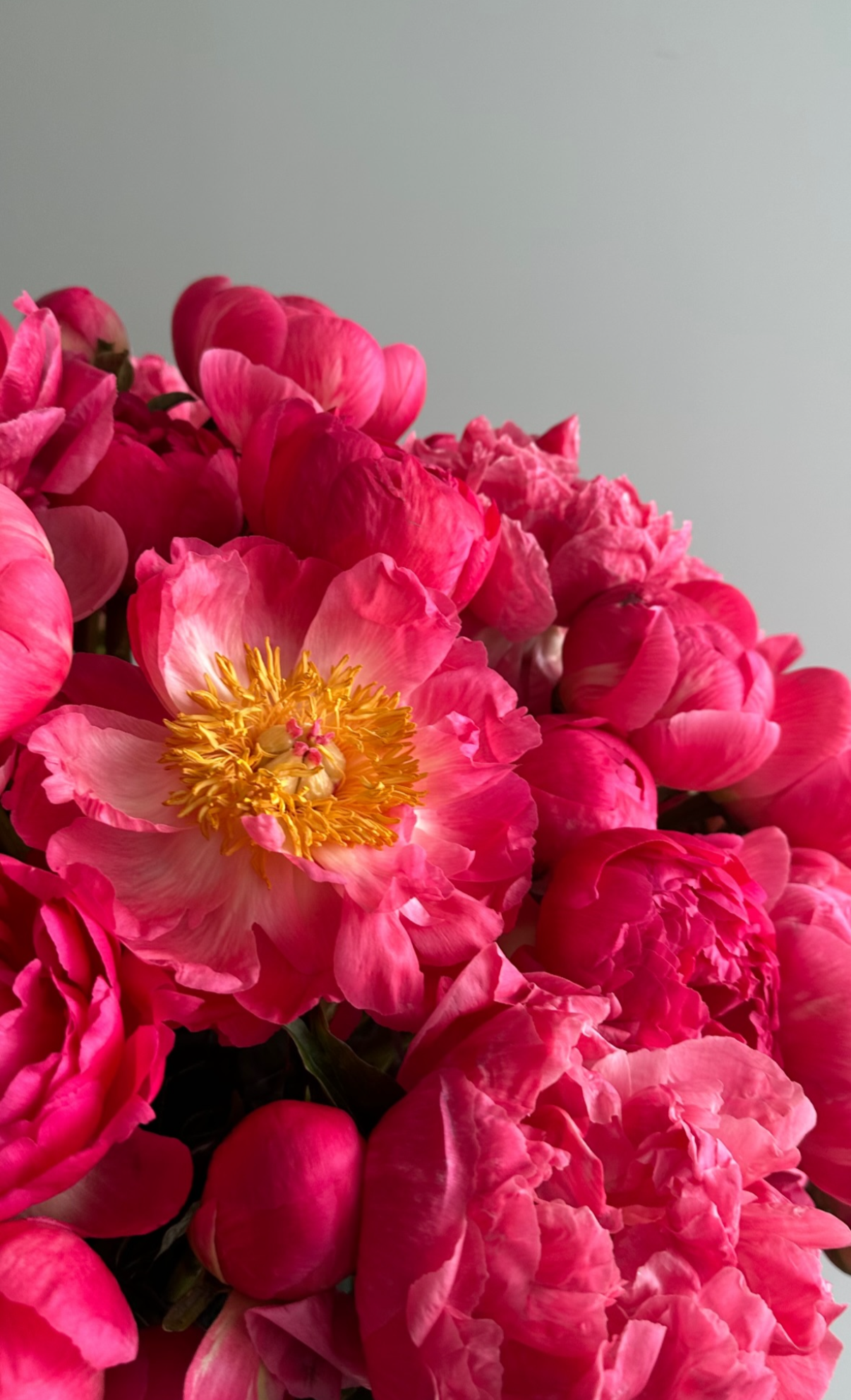 IMG_3414.png
