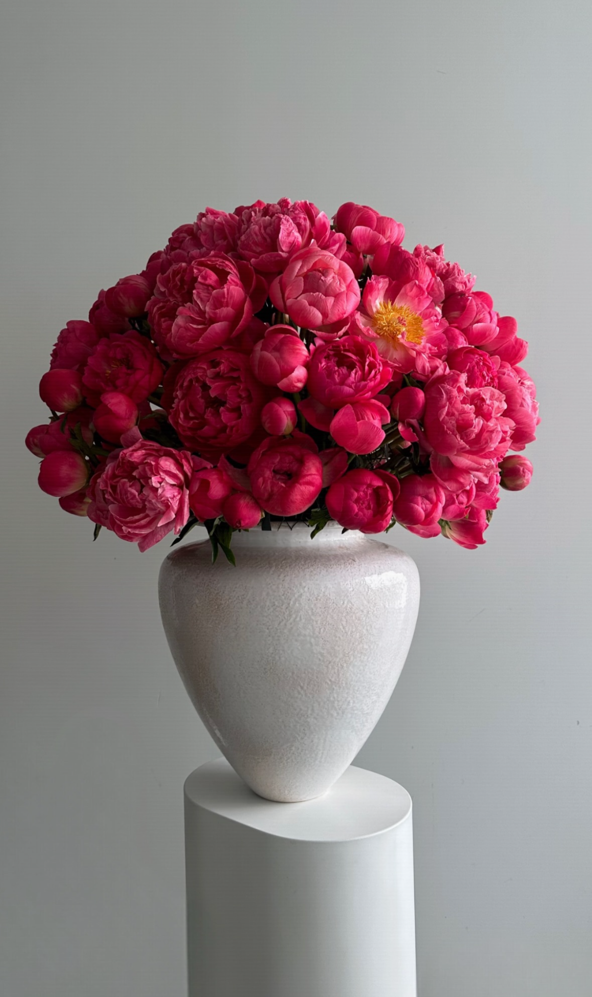 IMG_3413.png