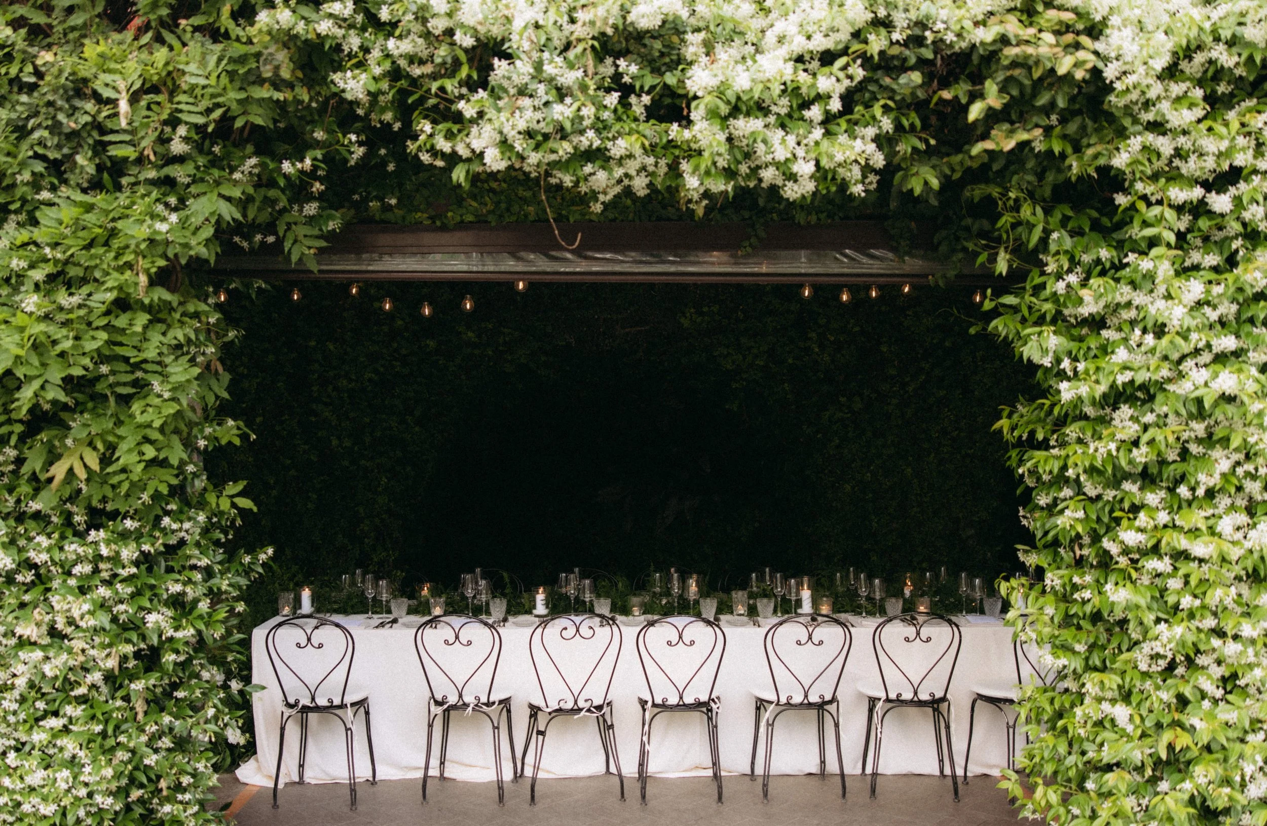 A long dining table set for an outdoor event, surrounded by greenery and white flowering plants, with string lights hanging above.