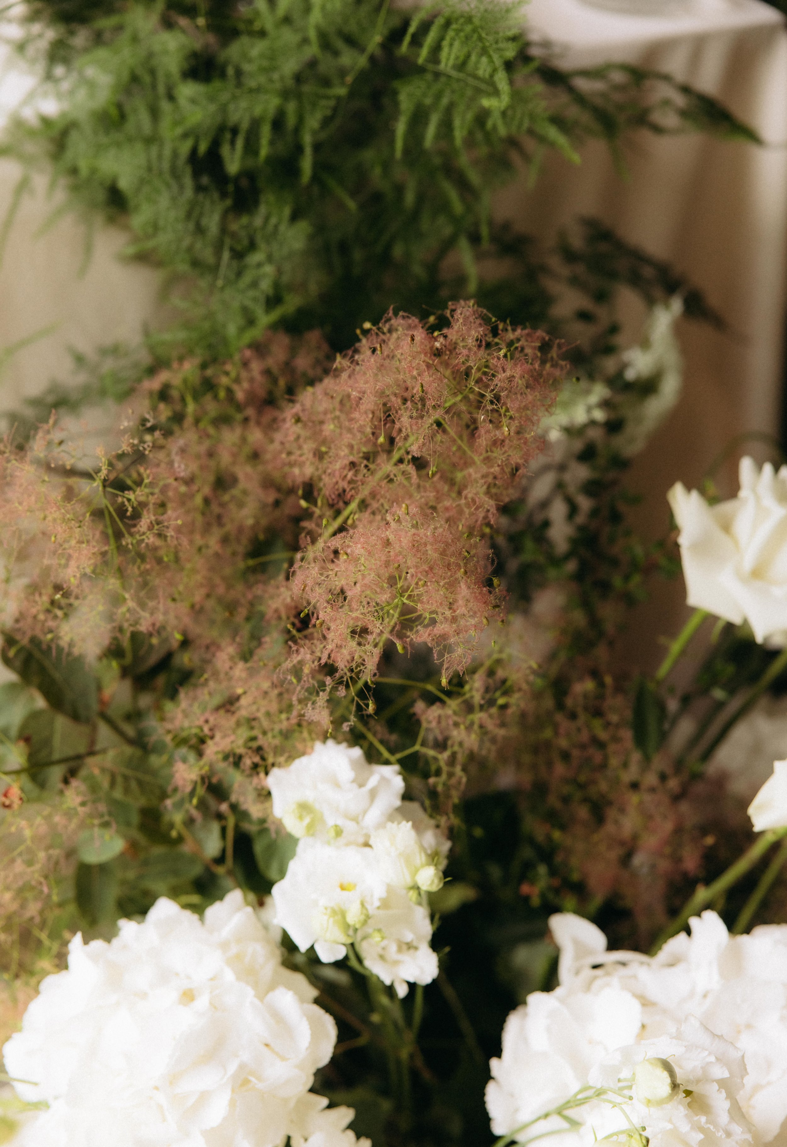 Close-up of various flowers including white hydrangeas, pink lace-cap hydrangeas, and lush green ferns.