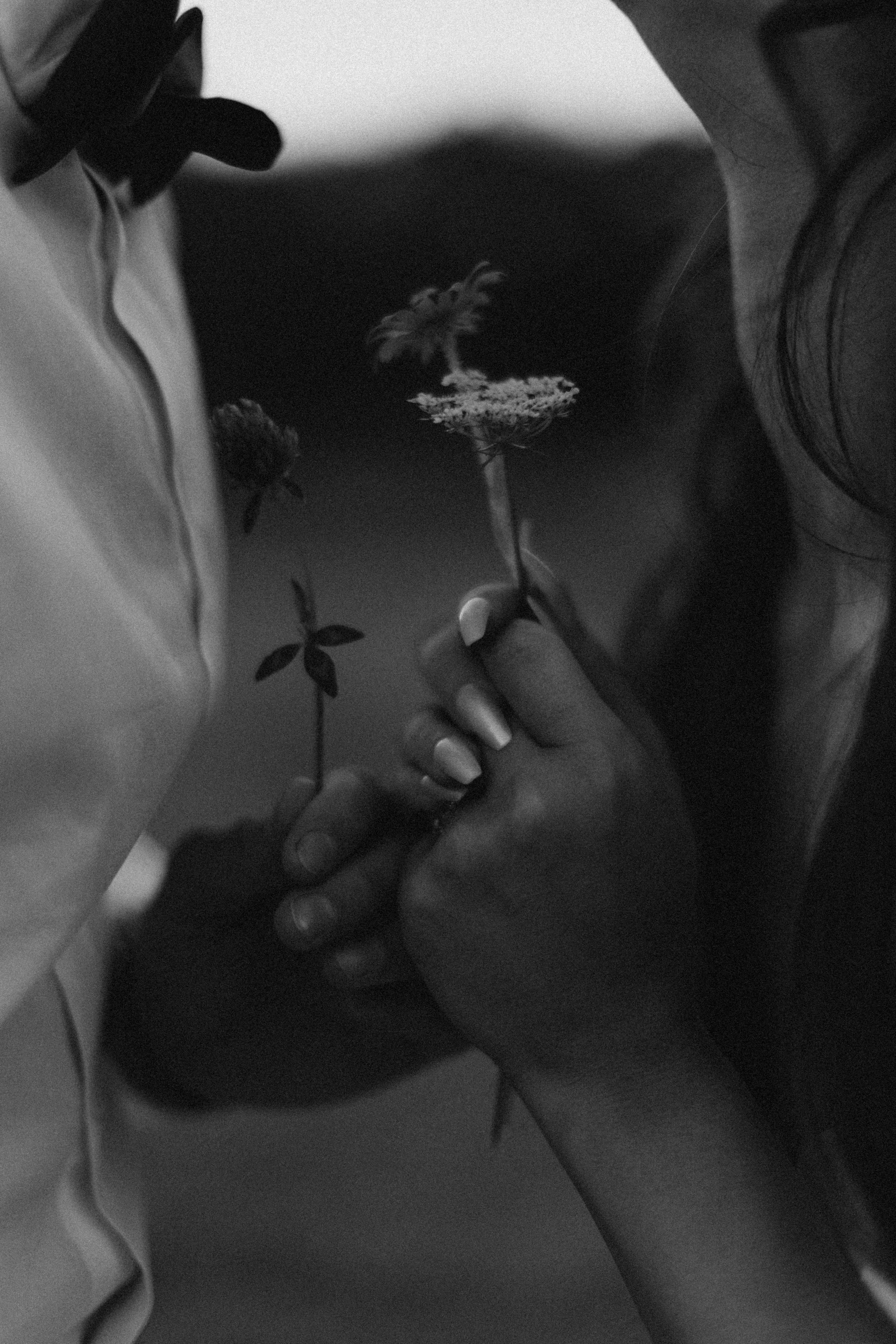 A person holding a small flower with a thin stem and rounded petals, near another person's hand with painted nails. The photo is in black and white.
