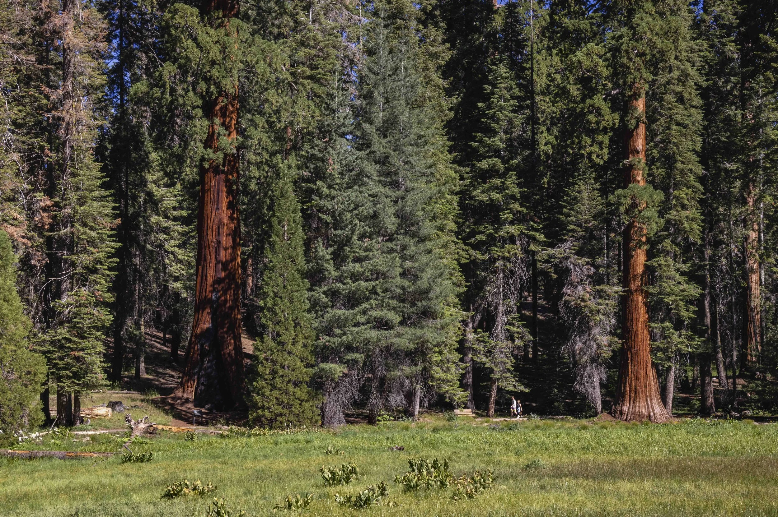0I7A4784-Pano-Editar.jpg