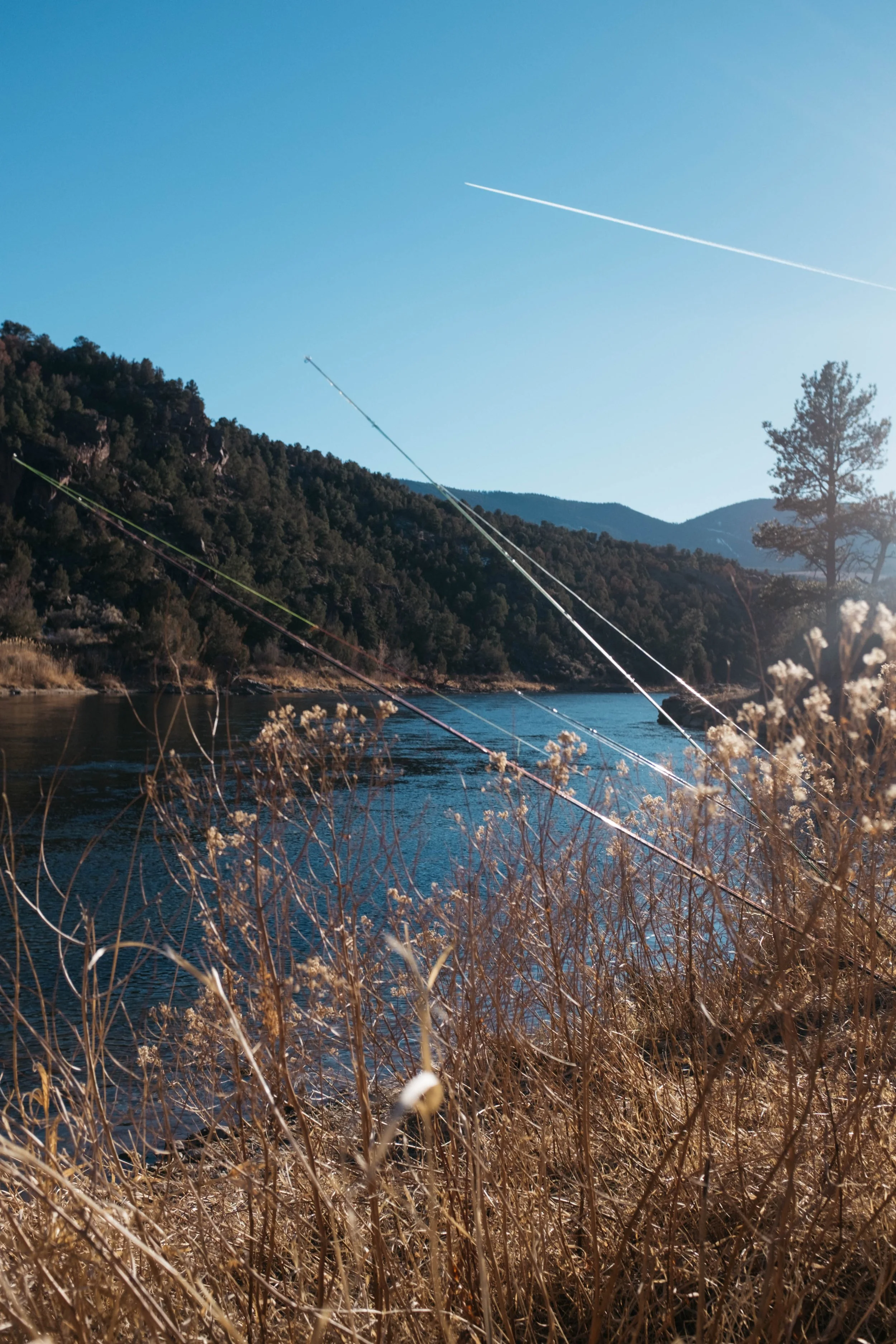 DSCF3394.jpg