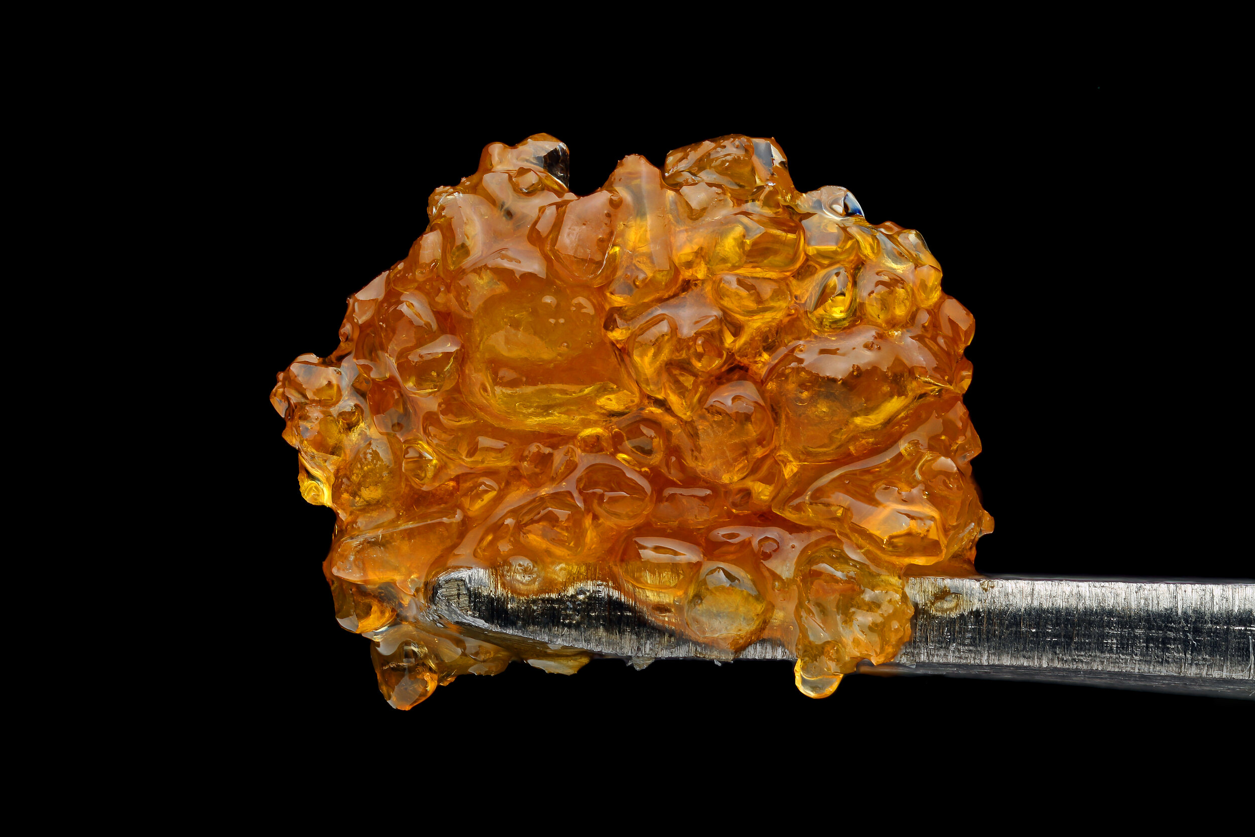 Sour Tangie