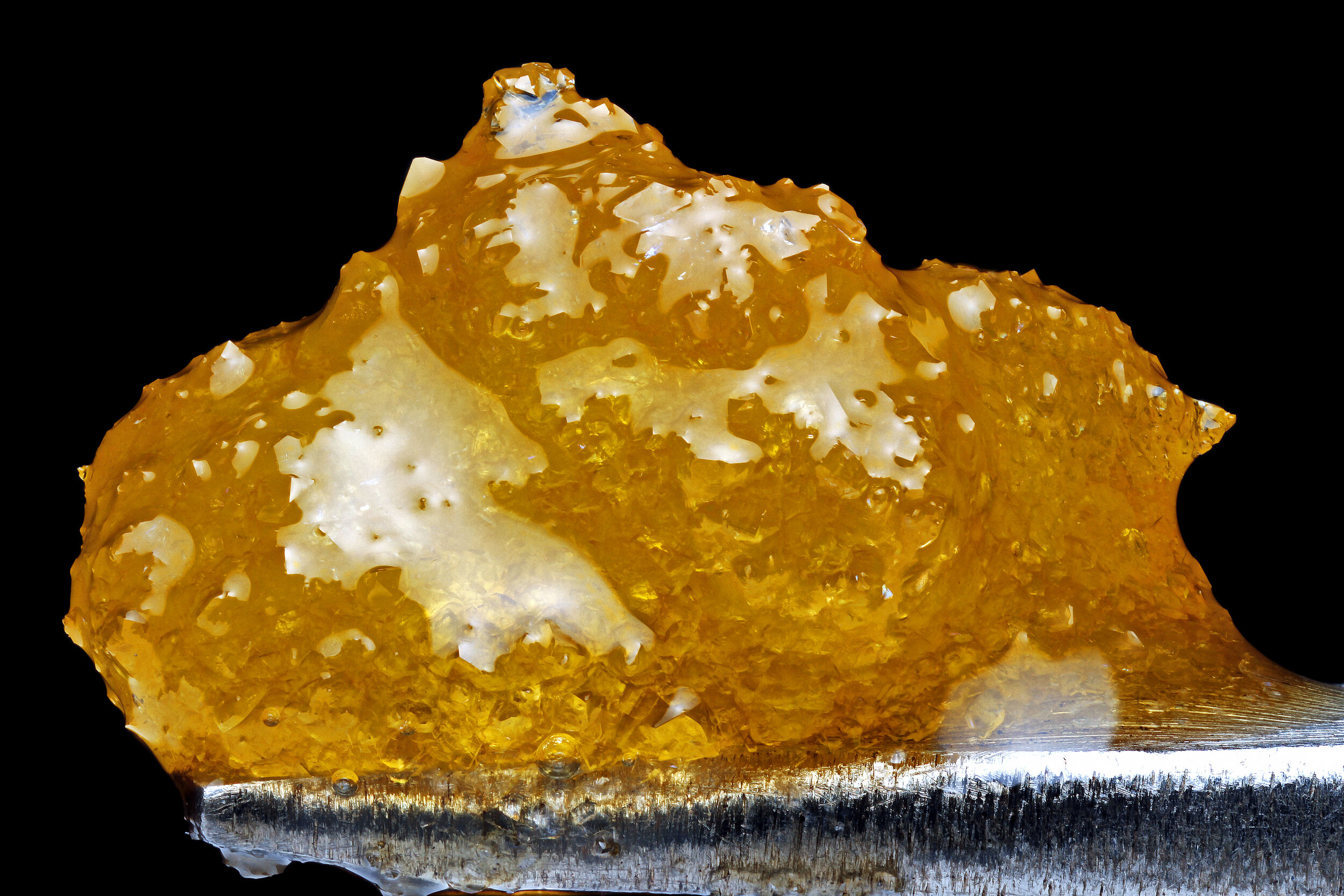 Master Kush