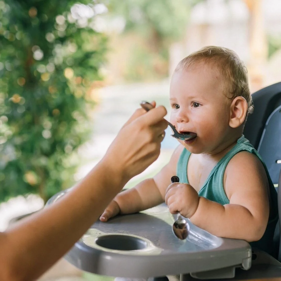 Little+pot+of+Gold+organic+baby+puree