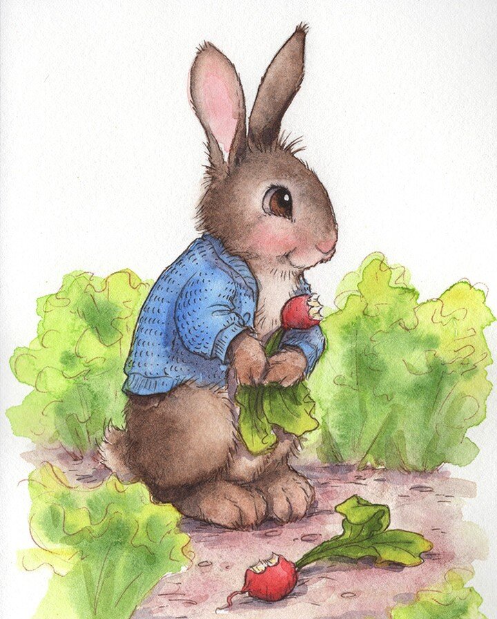 Just a little Peter Rabbit fan art. Hope you're having a hoppy Friday! 😊 #watercolorillustration #peterrabbitart #beatrixpotterfan #kidlitart #childrensillustration