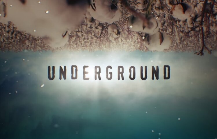 WGN America's Underground "Harriet"