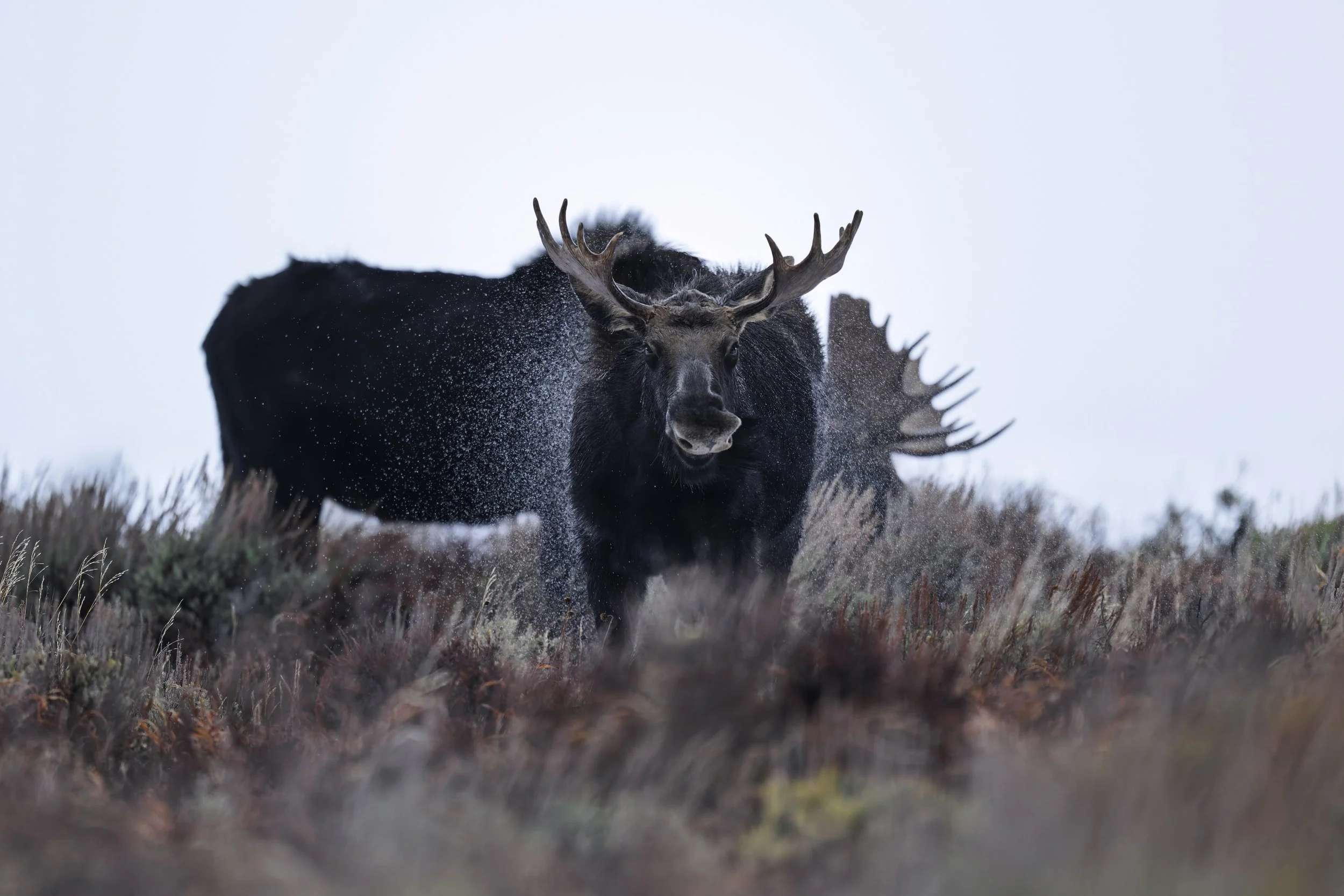 _JHG1006-DxO_DeepPRIME XD2s-Edit-2.jpg