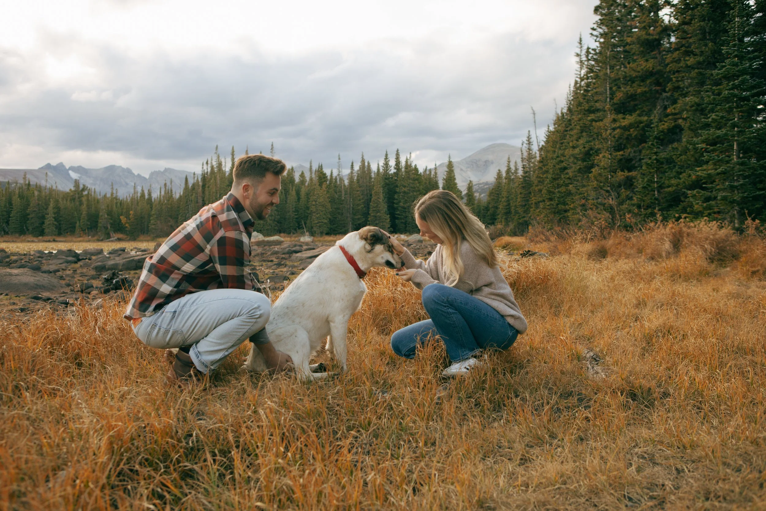A young man and woman are sitting in a field of tall, golden grass with a white dog, amidst a scenic outdoor landscape of trees and mountains under a cloudy sky.