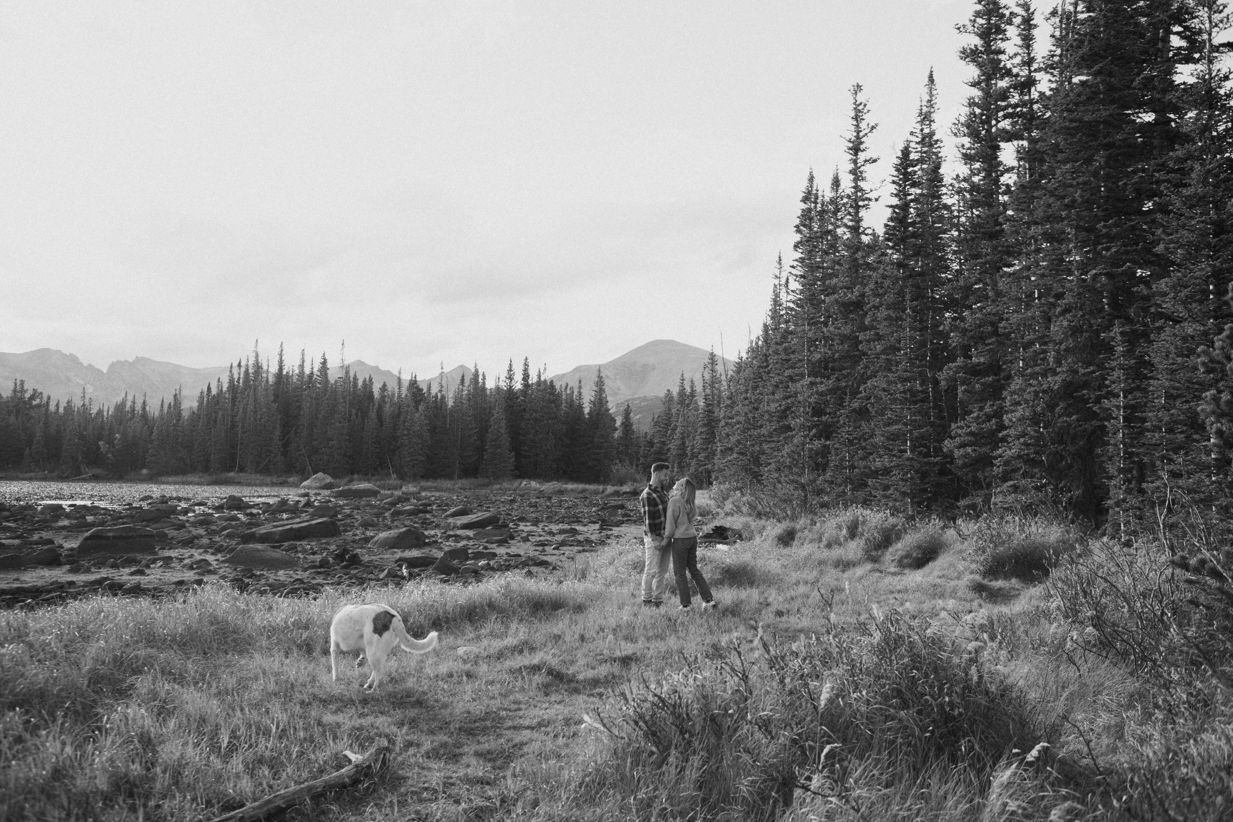 A black and white photo of a couple standing together in a grassy field, with a dog nearby, surrounded by trees and mountains in the background.