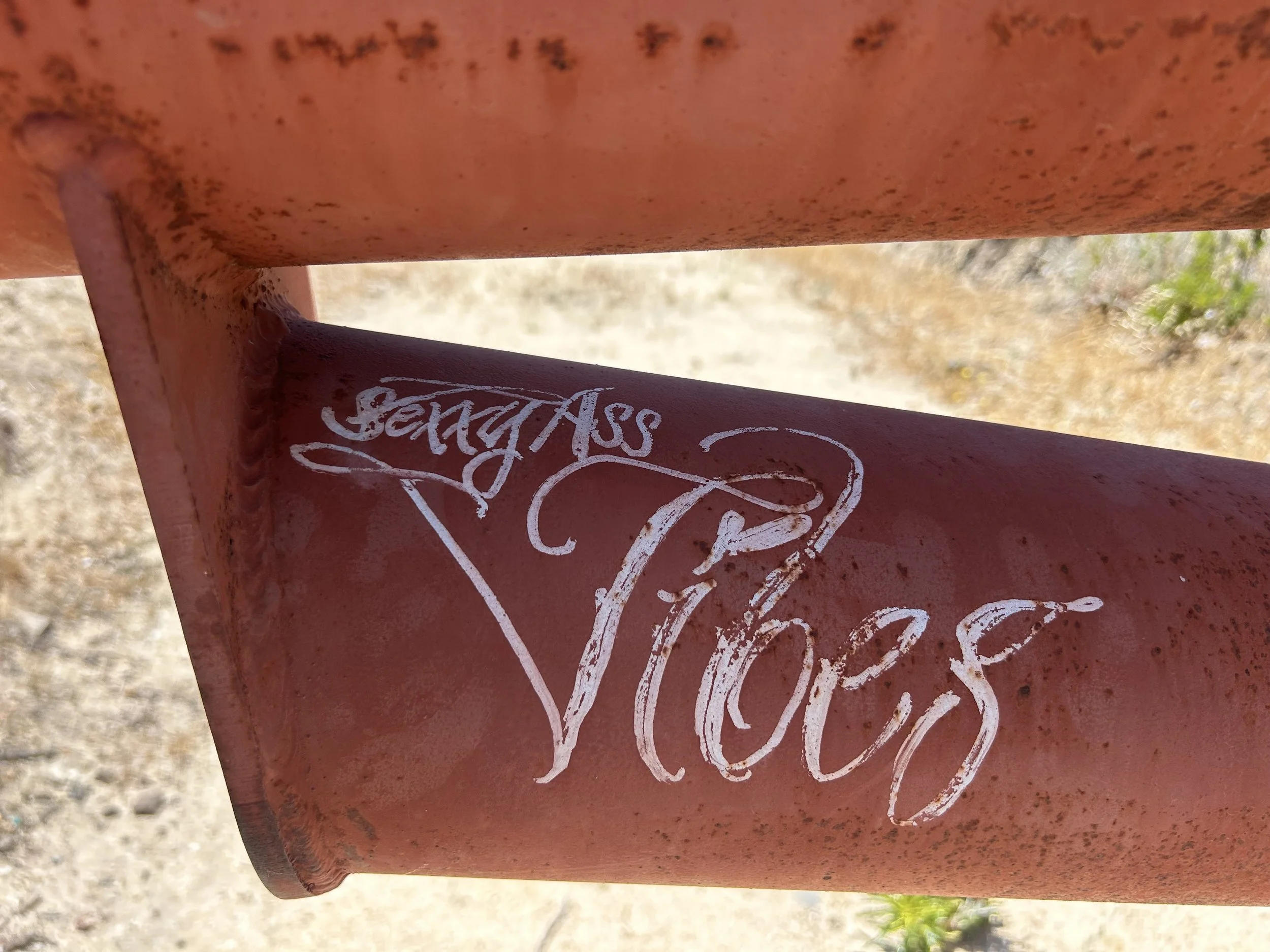 Tubular steel gate art work that reads, Sexxy Ass Vibes in calligraphy.