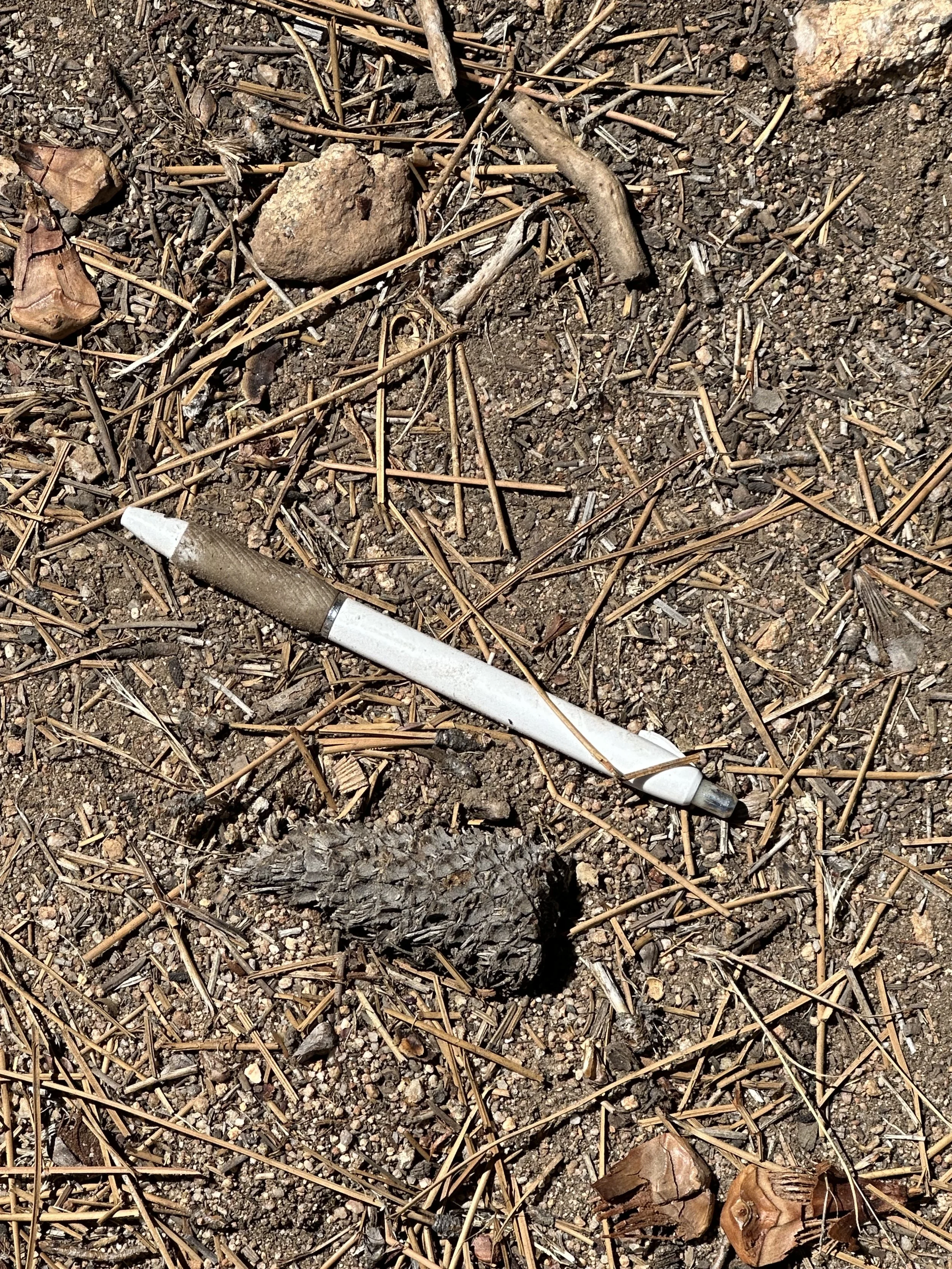 A click pen in gravel.