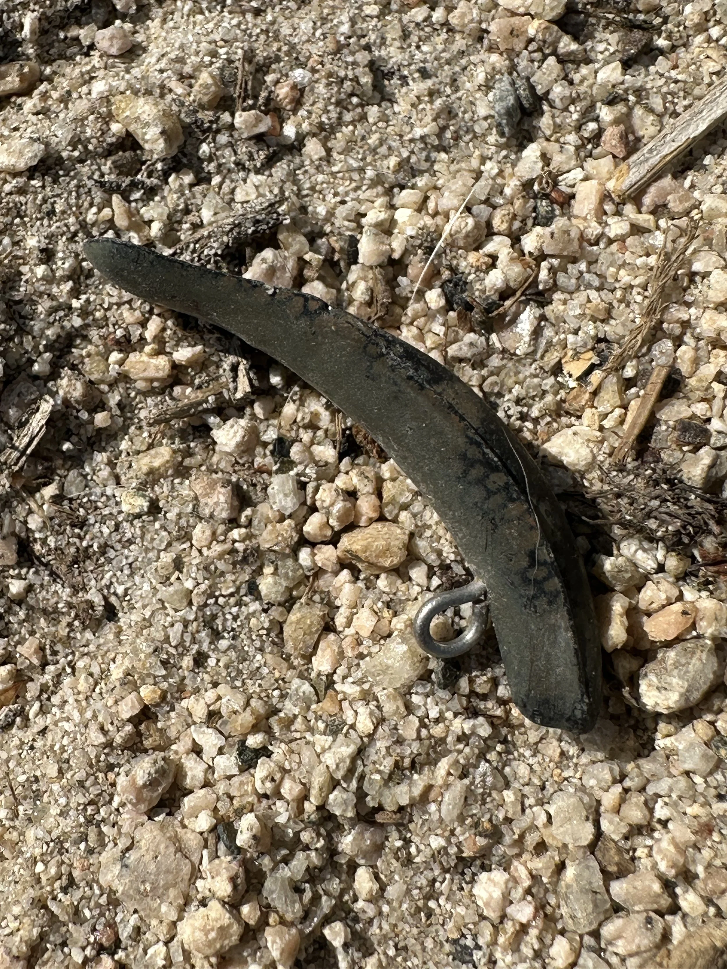 a dark green  fishing lure in lake shore foliage.
