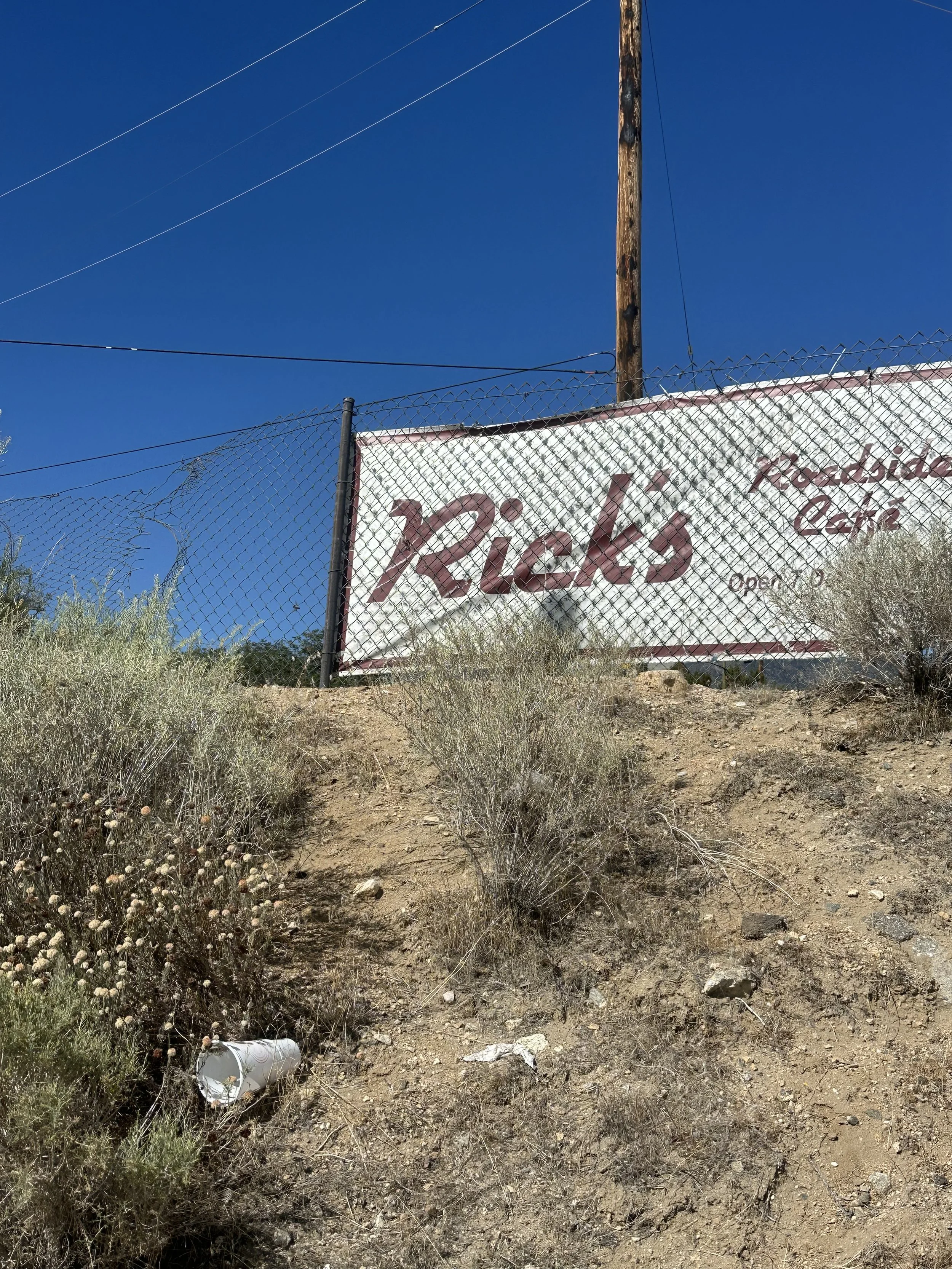A dirt hill with bushes, some litter, a fence and a Rick's Roadside Cafe Banner.
