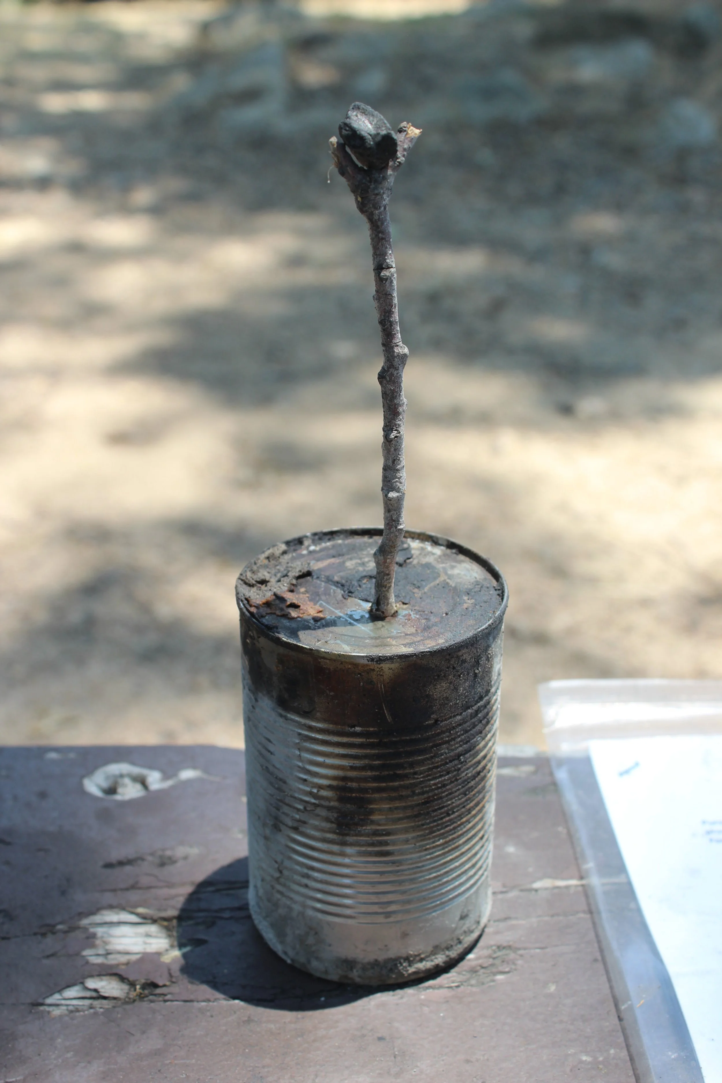 A can, a stick and a piece of charcoal stacked on a picnic table.