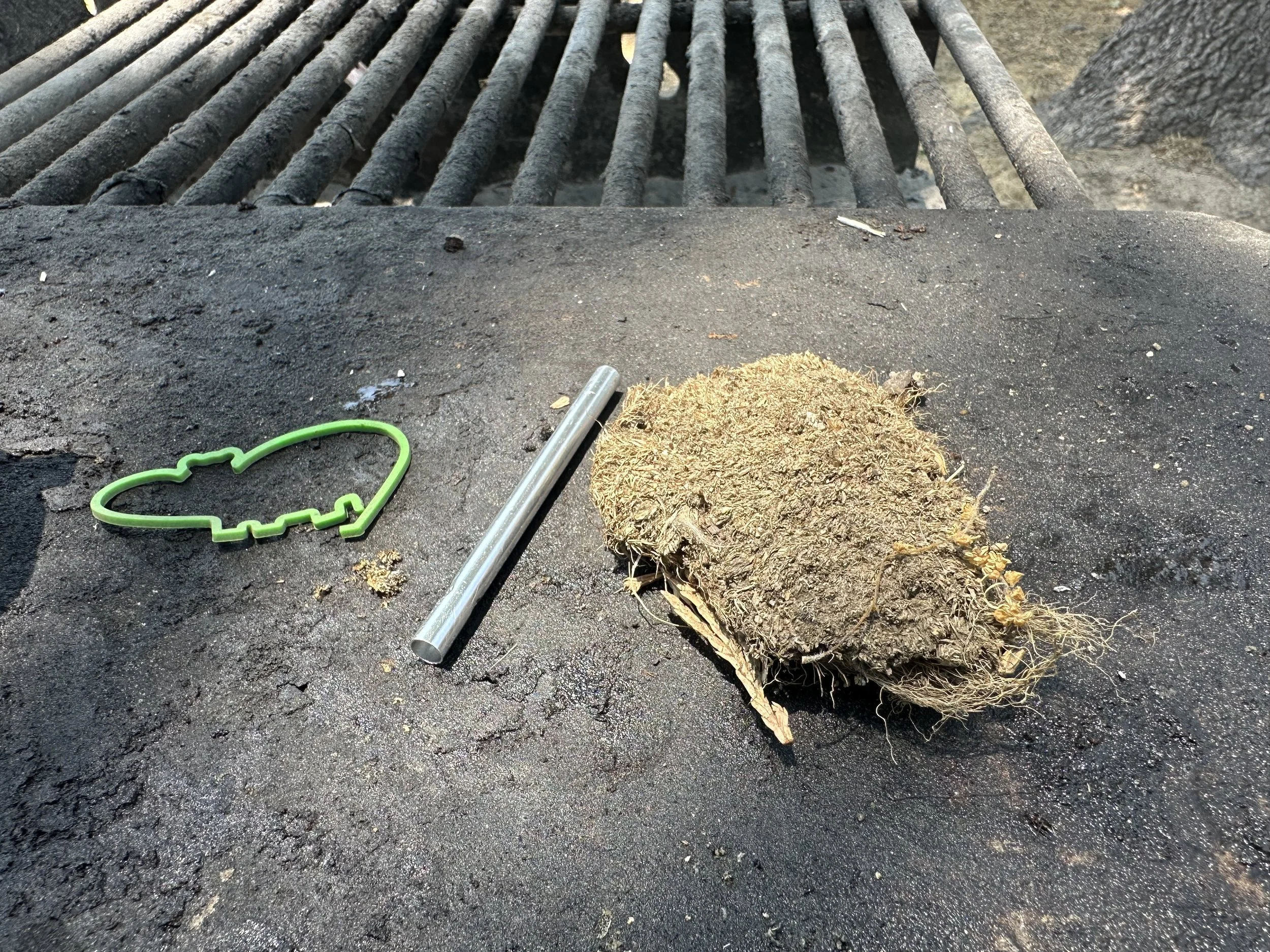 Found objects of hip shaped green rubber band, silver whistle and a mango seed.