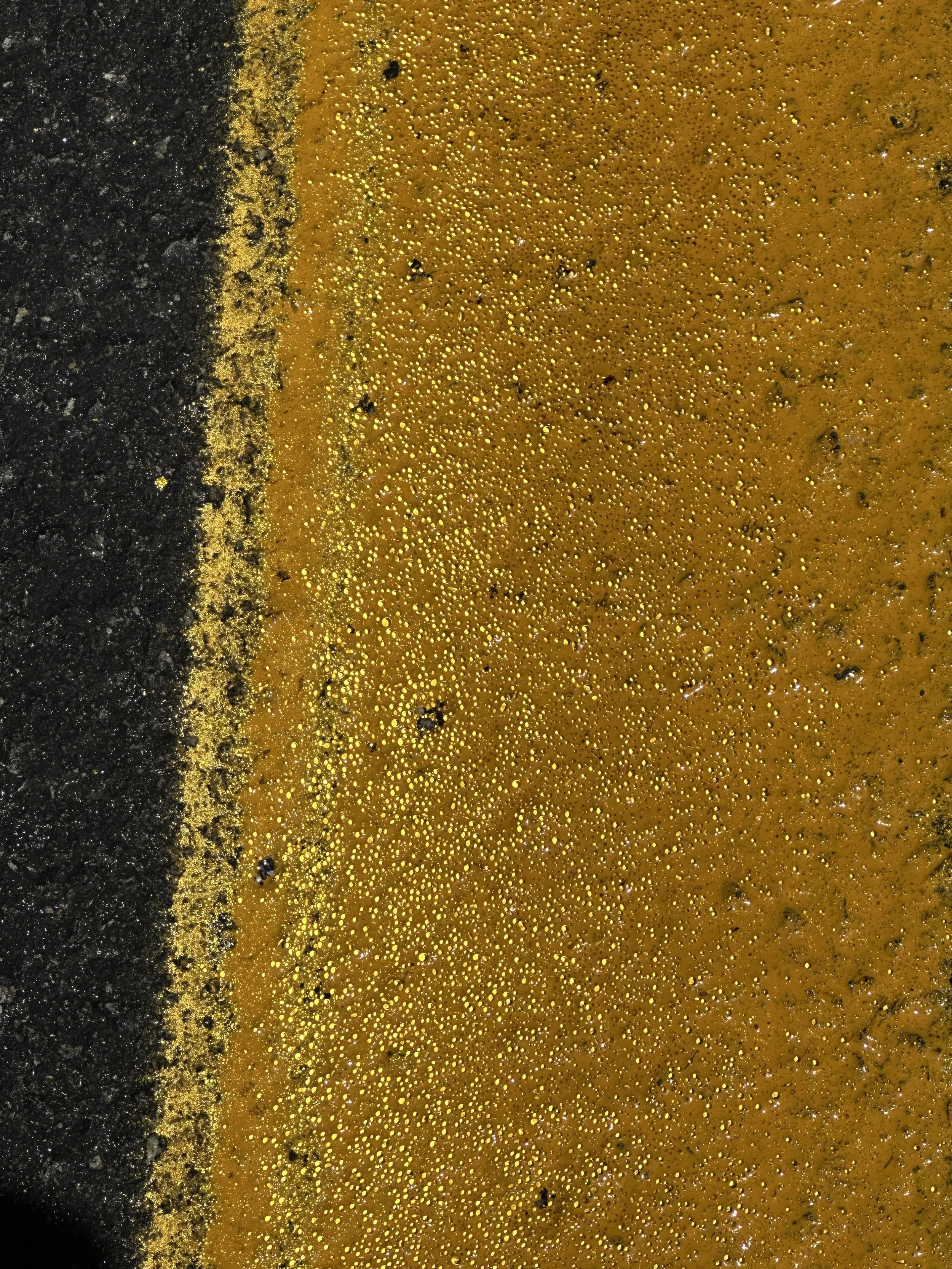 Yellow road paint reflecting brightly on asphalt.