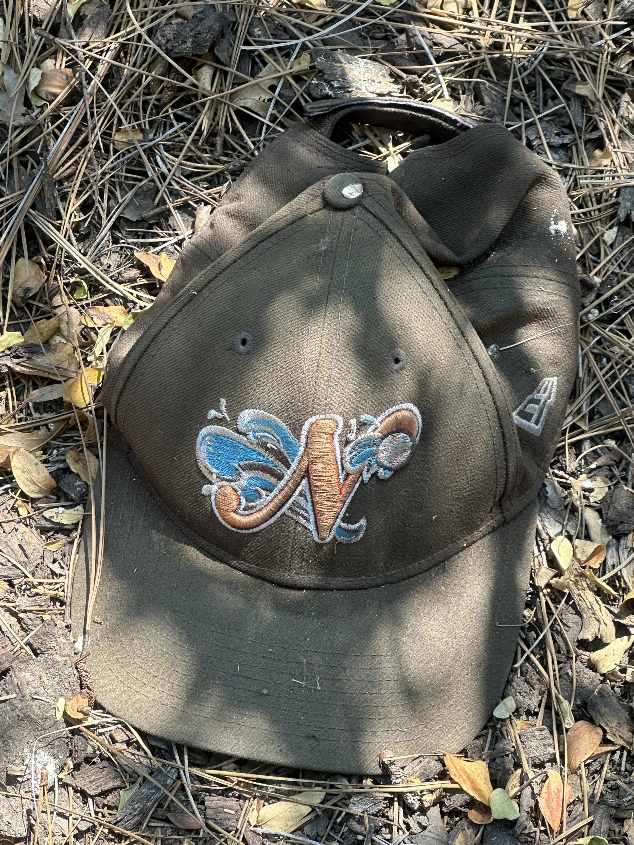 A discarded hat in dirt, sticks and leaves.