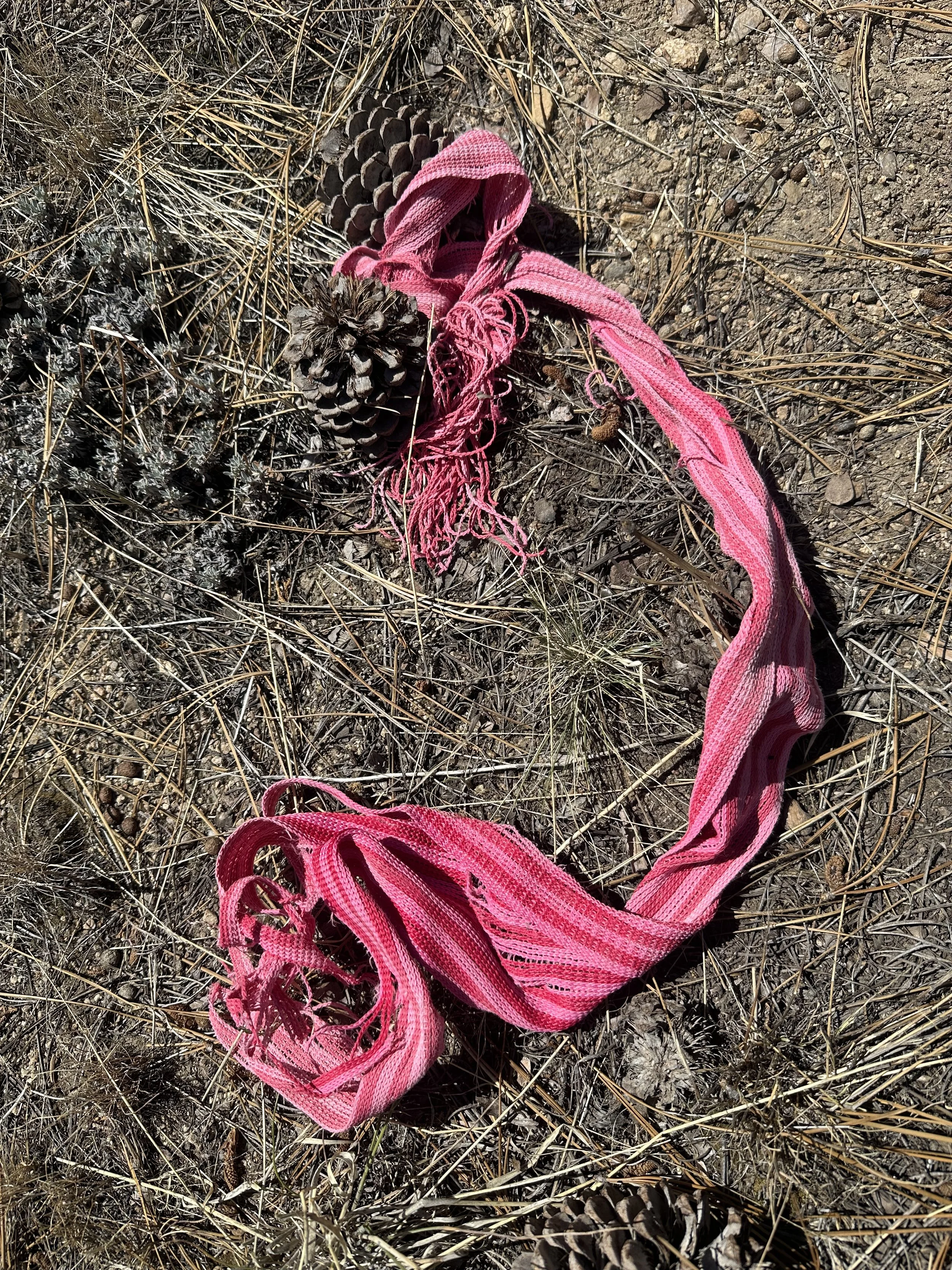 A lost snow-day pink scarf on dirt with pine sticks and pinecones.