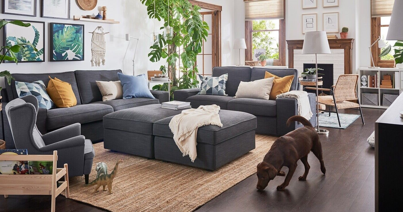 Jaxon Assembly & Installation