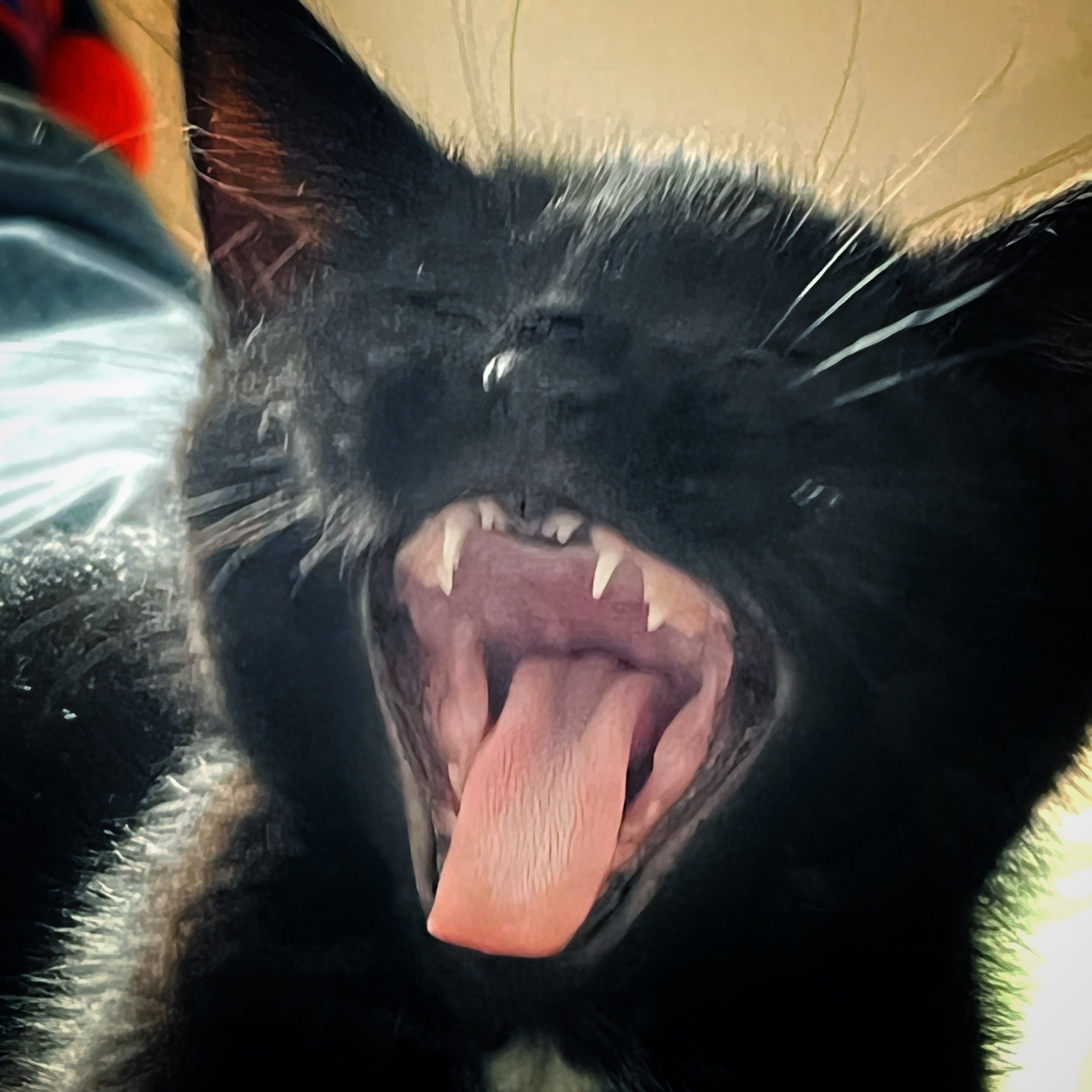 Be more Lilith…