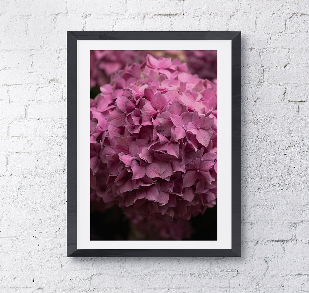 Bloom Frame.jpg