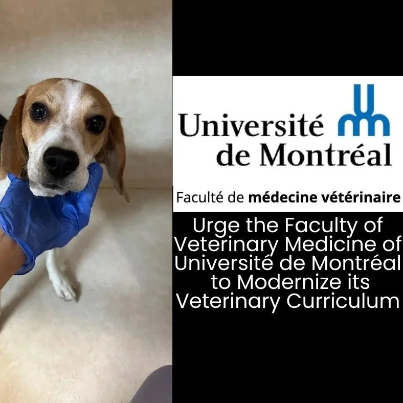 Urge the Faculty of Veterinary Medicine of the Université de Montréal to prioritize teaching practices to align with those recommended by the AAVMC