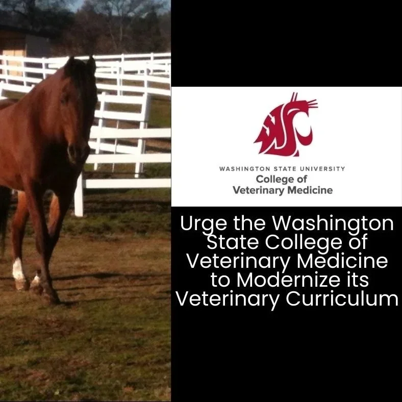 Urge Washington State to prioritize teaching practices to align with those recommended by the AAVMC